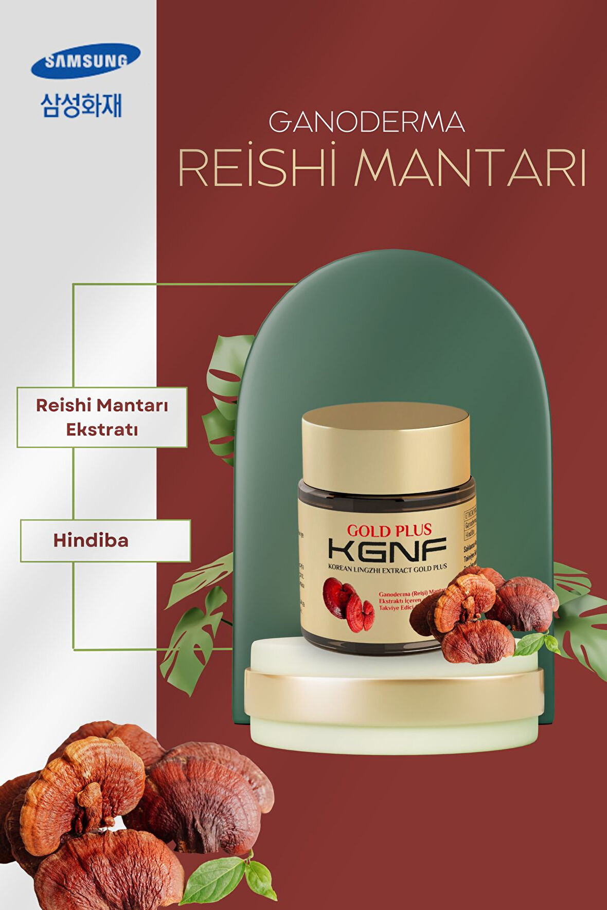 Ganoderma (Reişi) Mantarı Ekstraktı – 100% Kore