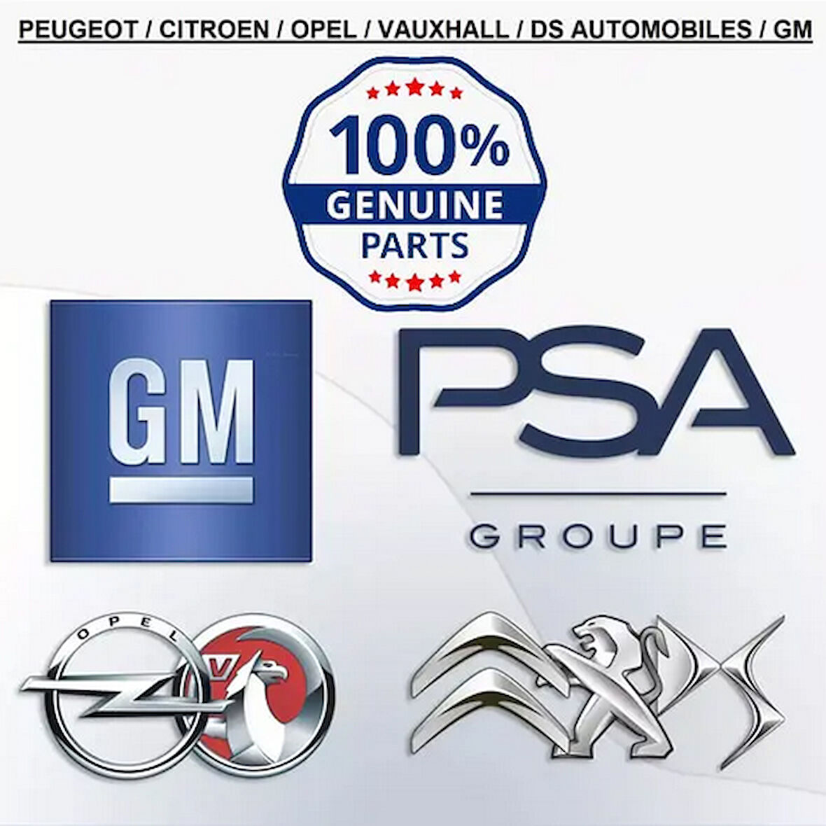 PEUGEOT RCZ EXPERT BOXER 508 5008 407 308 3008 307 SEGMAN TAKIMI 1607401380 3648396