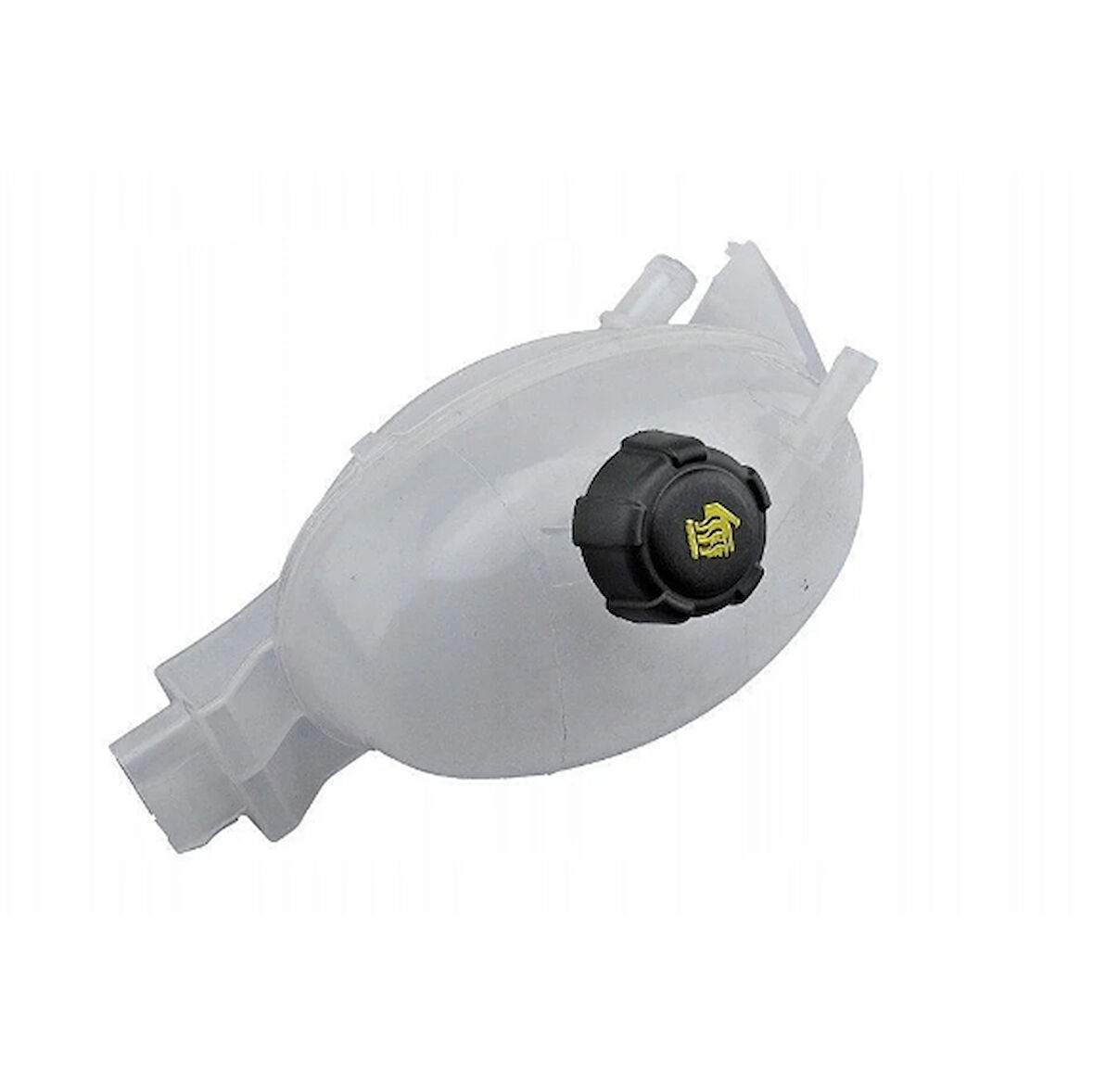 MASTER 3 - III RADYATÖR YEDEK SU DEPOSU 217100015R 160004