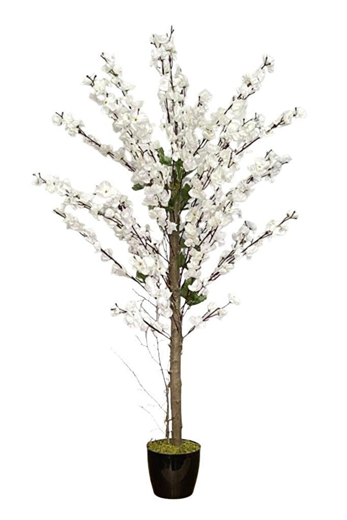 Yapay Ağaç Bahardalı Ağacı Beyaz Japon Kiraz Çiçeği Sakura Çiçeği 127x70cm Siyah Plastik Saksılı