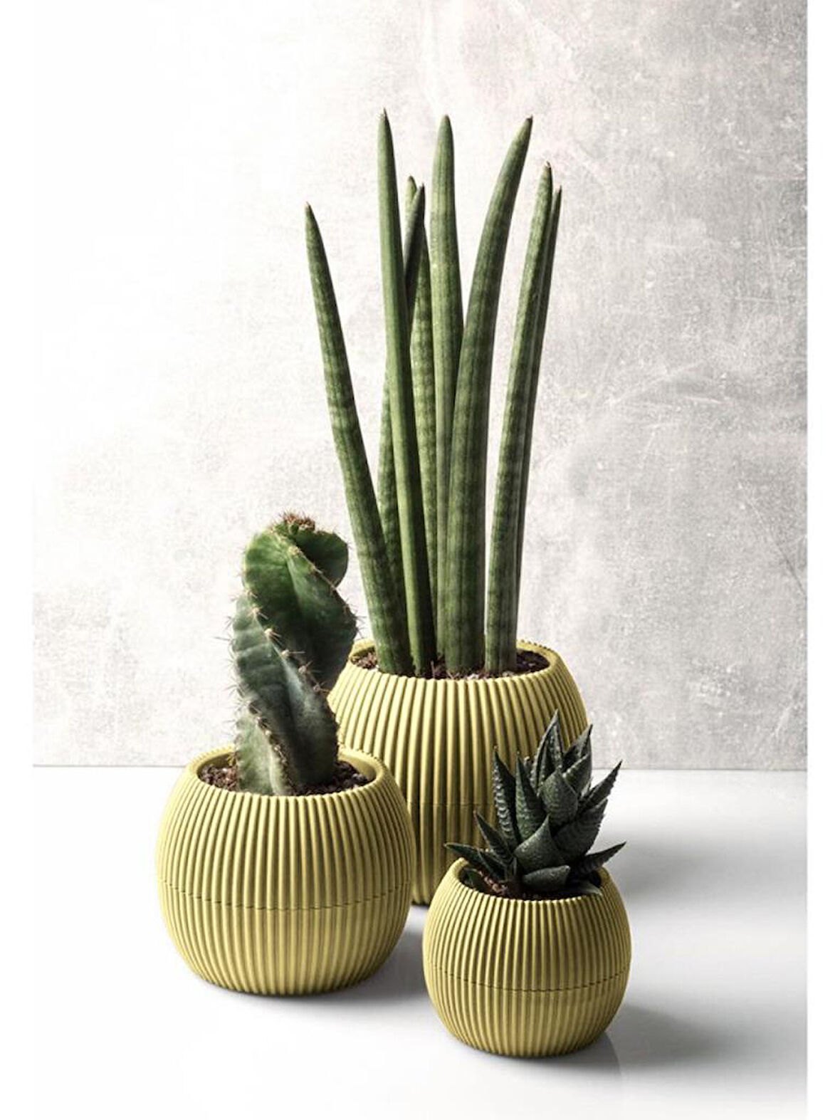 Omnipazar KRS Mercan Dekoratif Sukulent Kaktüs Plastik Saksı Takımı 3'lü Set Soft Sarı