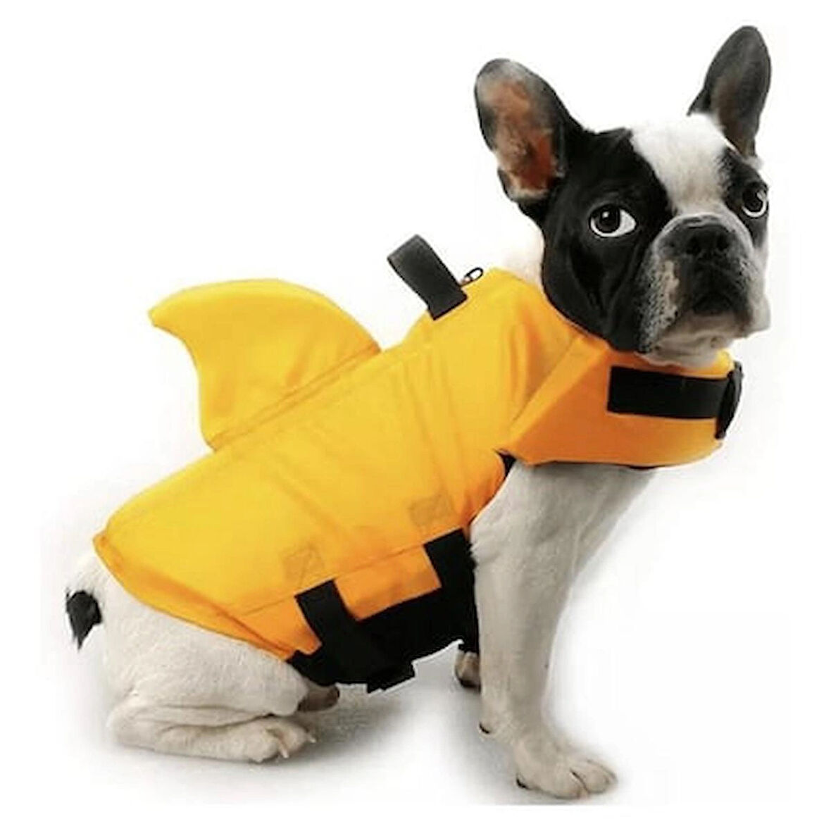 Lionpet Shark Köpek Can Yeleği M Sarı