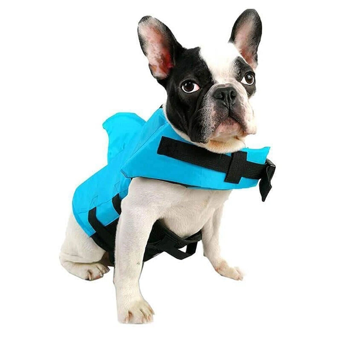 Lionpet Shark Köpek Can Yeleği M Mavi
