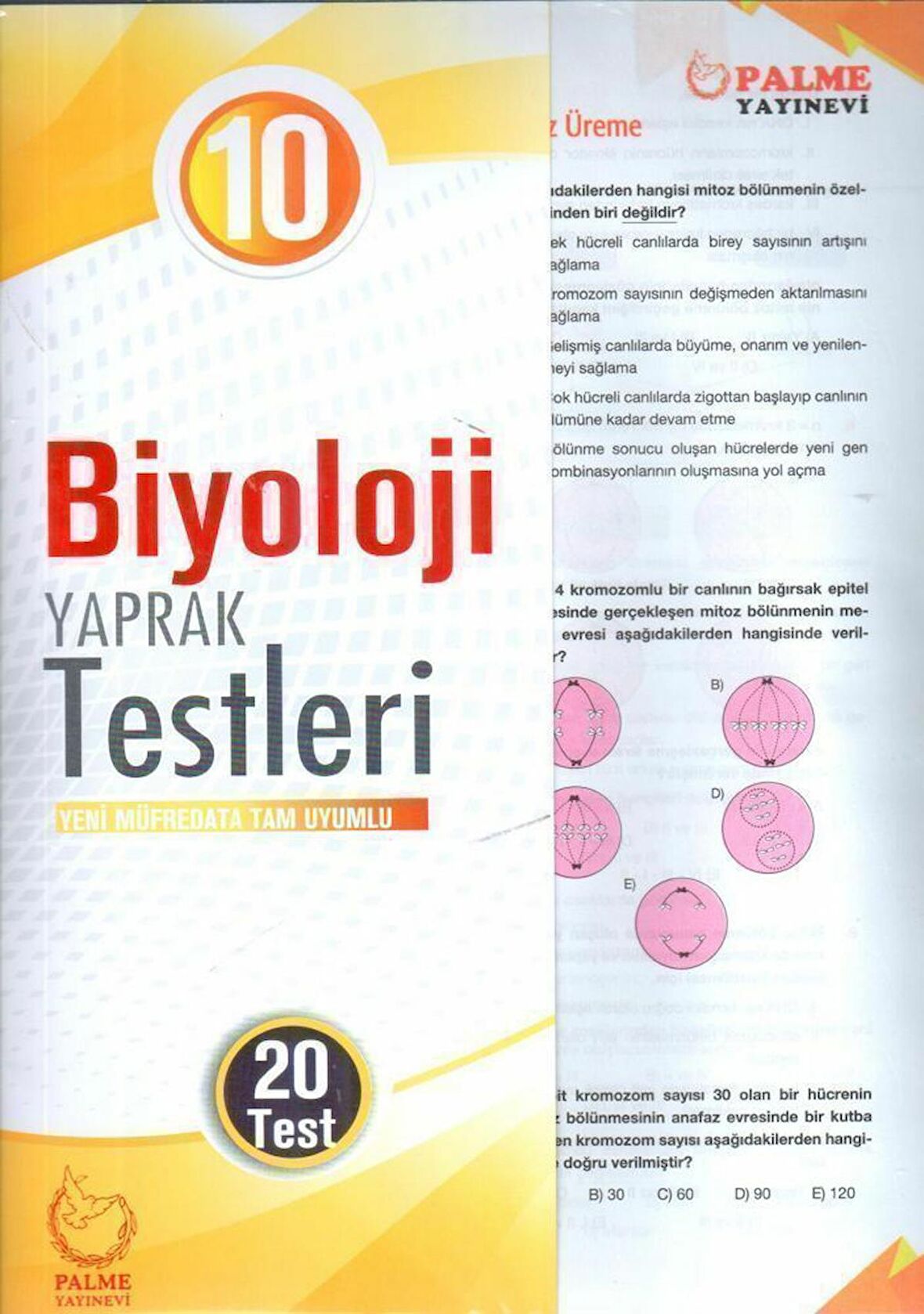 Palme Yayınları 10. Sınıf Biyoloji Yaprak Test