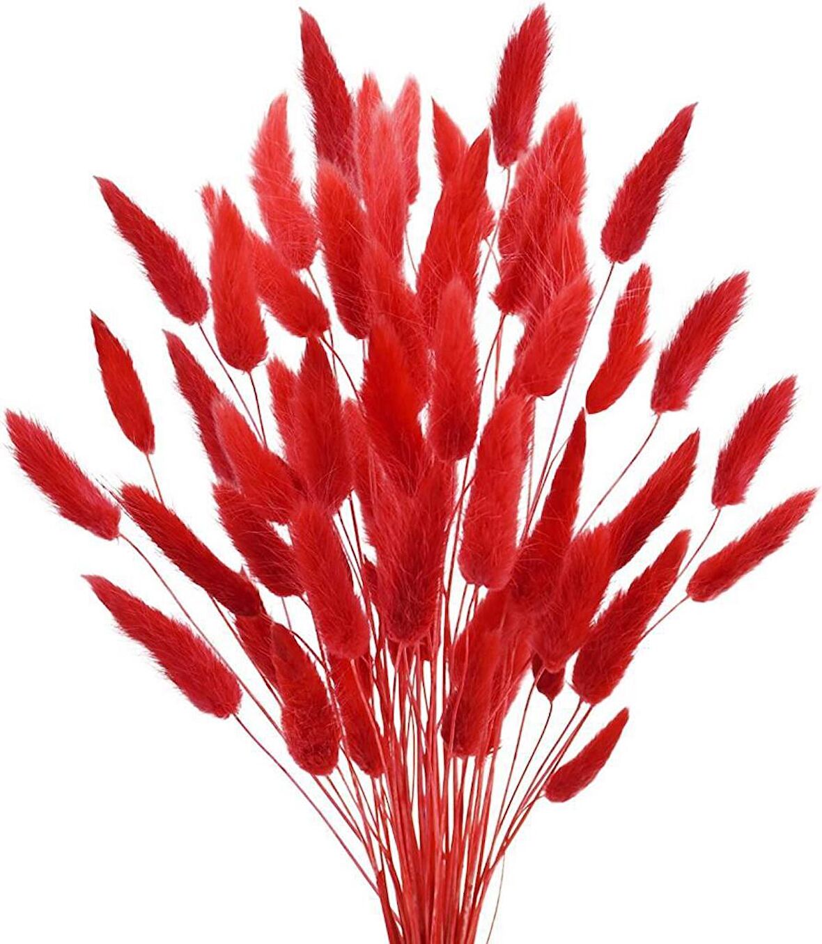 Kuru Çiçek Doğal KIRMIZI Pamuk Otu 10gram 1. Kalite Şoklanmış Bozulmaz