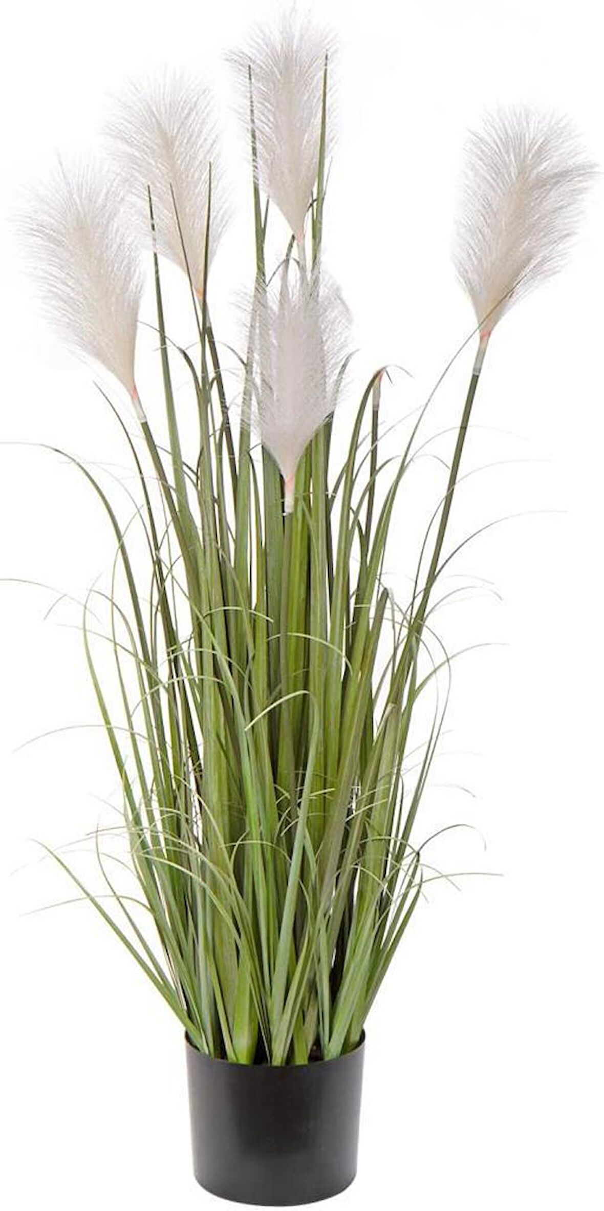 Yapay Çiçek Saksılı Salon Bitkisi Beyaz Püskül Grass Panpas