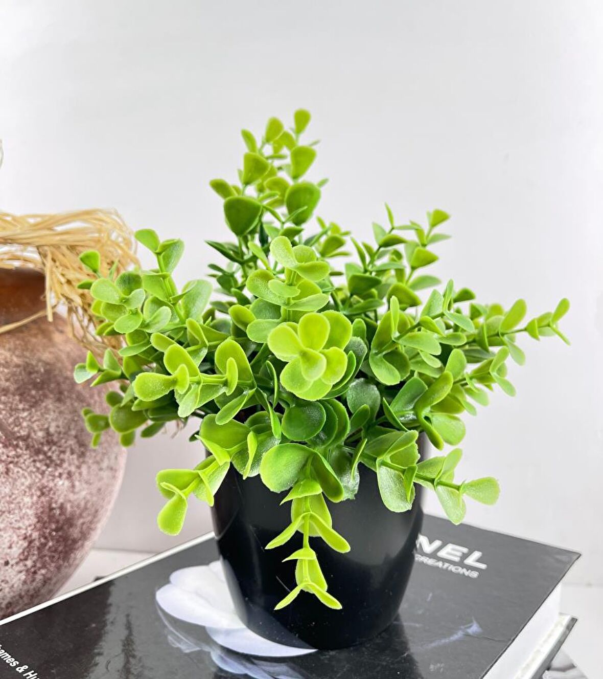 Yapay Çiçek Yeşil Renk Şimşir Siyah Saksıda Siyah Plastik Saksılı Dekoratif Süs Çiçeği