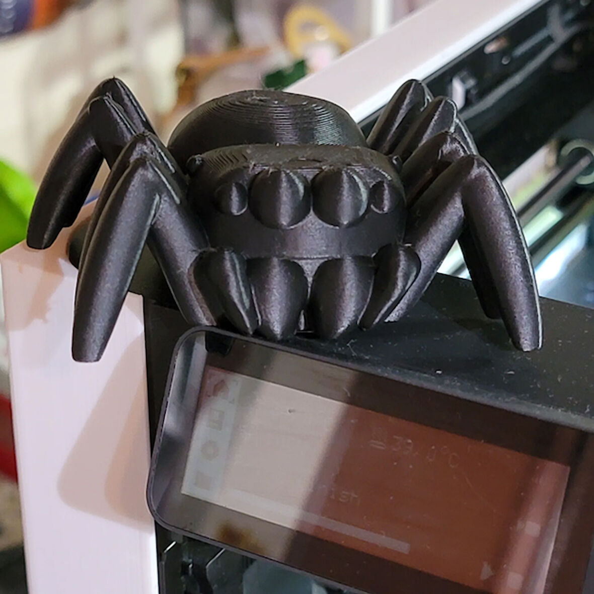 11 CM Ufak  Örümcek PLA Doğal Malzeme Oyuncak Siyah Renk