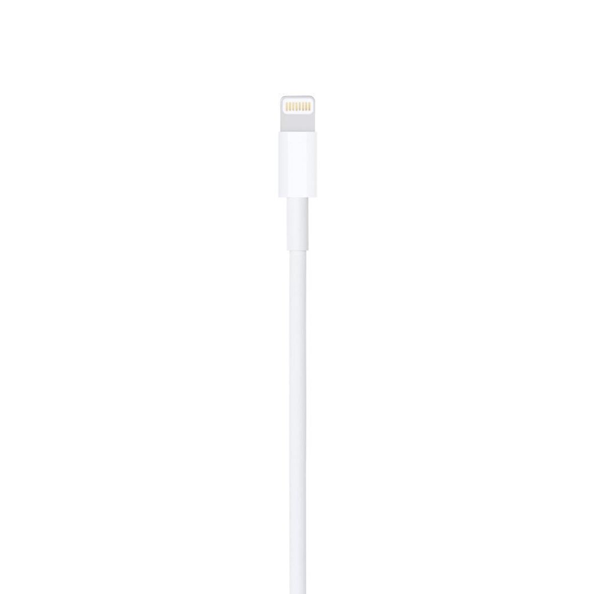 Apple Lightning To Usb Cable (0.5 M)