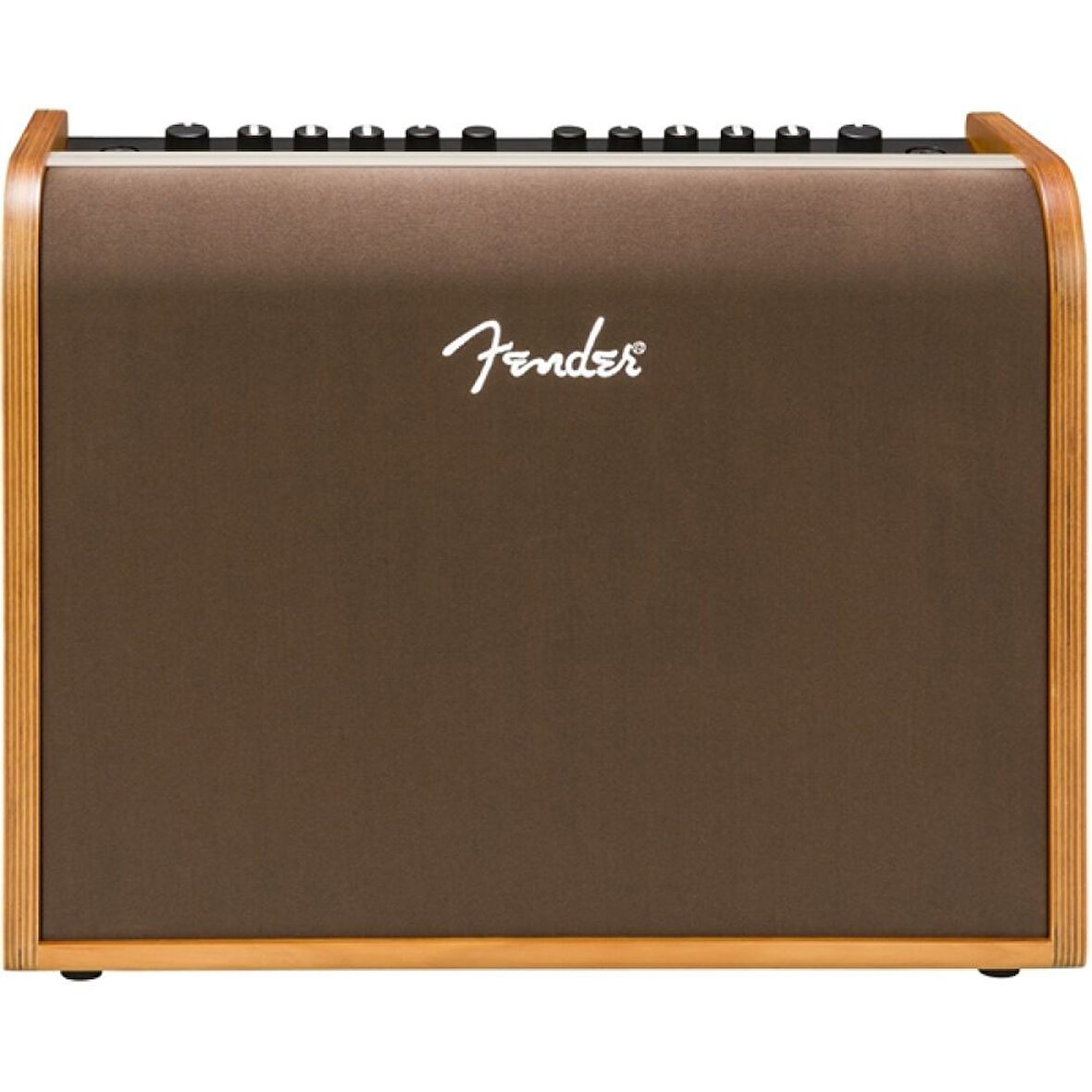 Fender Acoustic 100 UK Akustik Gitar Amfisi