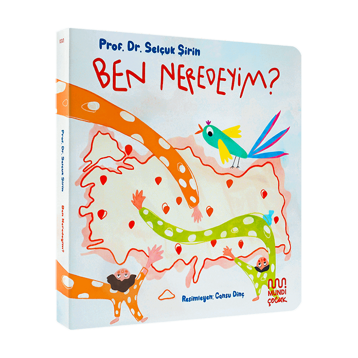 Ben Neredeyim?