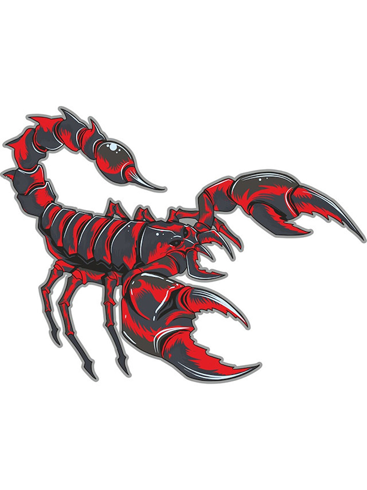 Akrep Oto Motorsiklet Araba Sticker 19CM