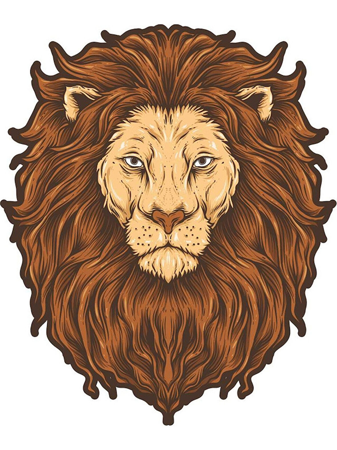 Aslan Sticker Araba Oto Motorsiket 19CM