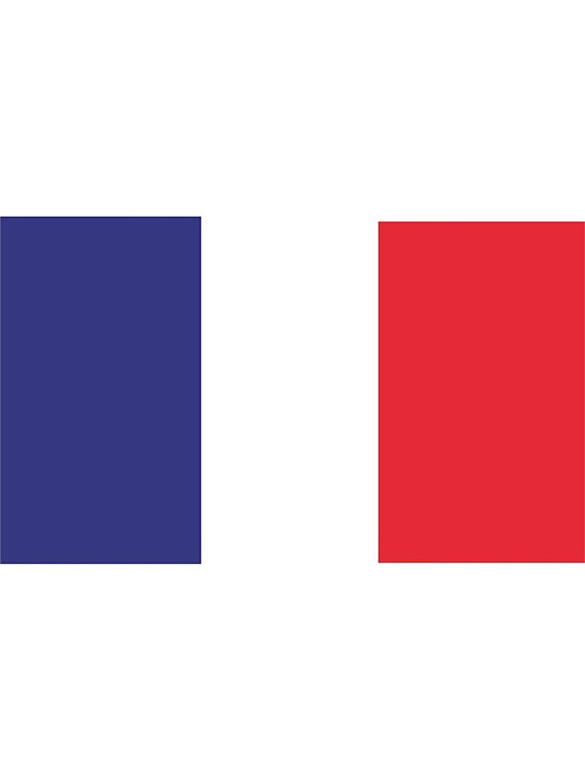 Fransa Bayrağı Sticker Yapıştırma 19CM