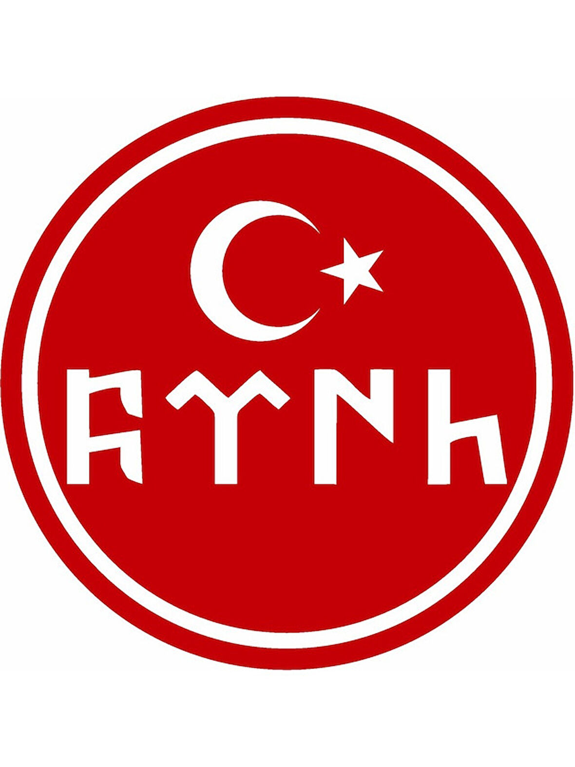 Göktürkçe Türk Sticker Araba Oto Motosiklet Karavan 14CM 2 Adet