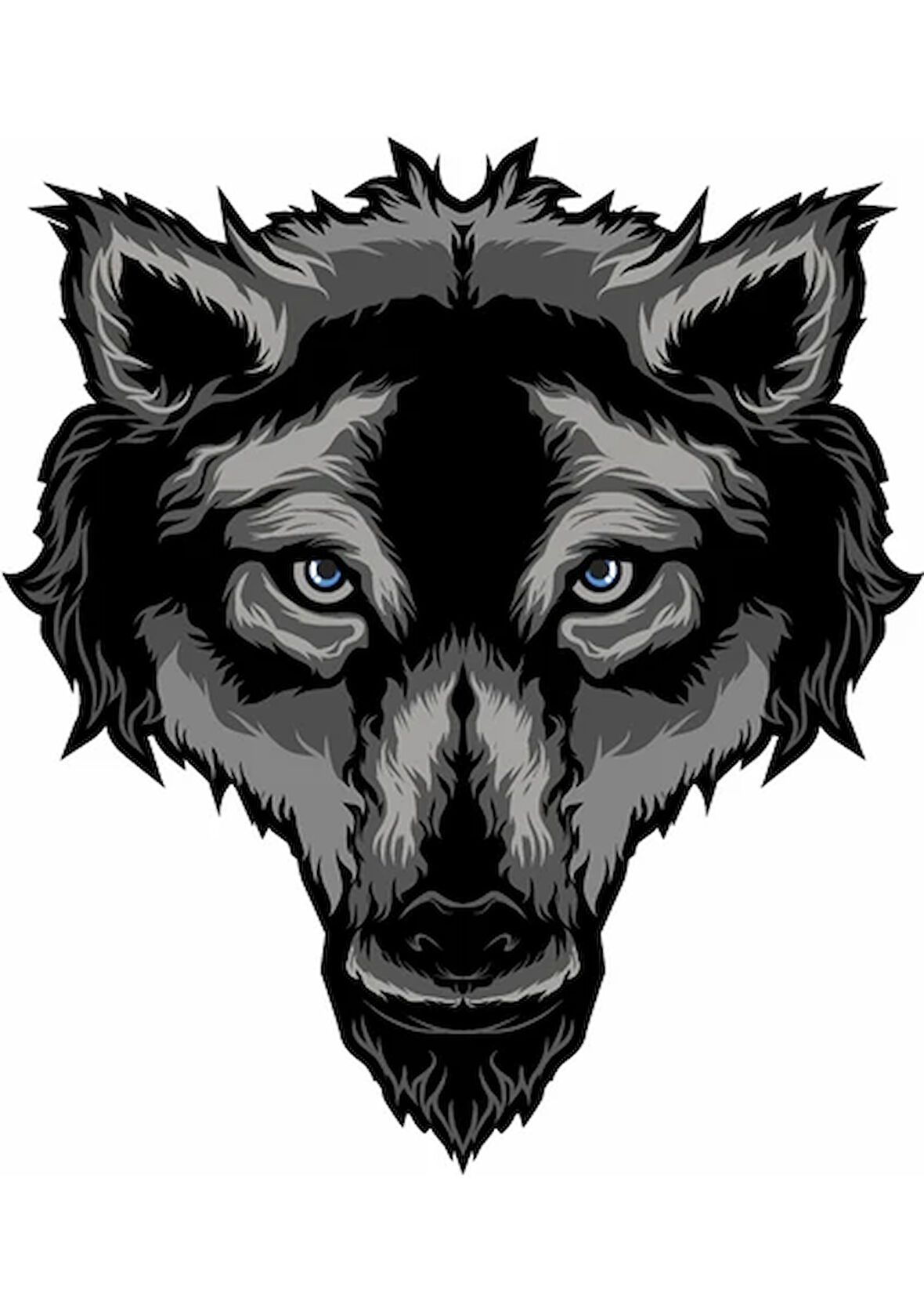 Yaşlı Kurt Araba Motorsiklet Sticker 19 CM