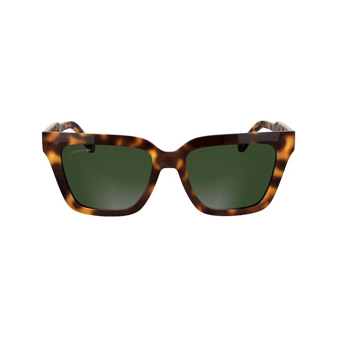 LACOSTE 6063 S 214 HAVANA 55-18-145
