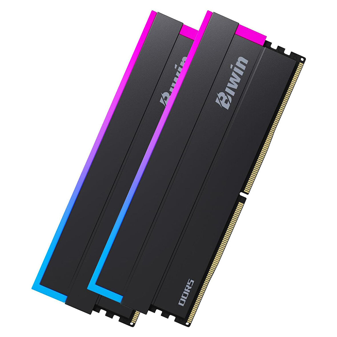 Biwin DW100-CB002 32GB DDR5 6400MHz 2x16GB RGB Masaüstü Ram - Siyah