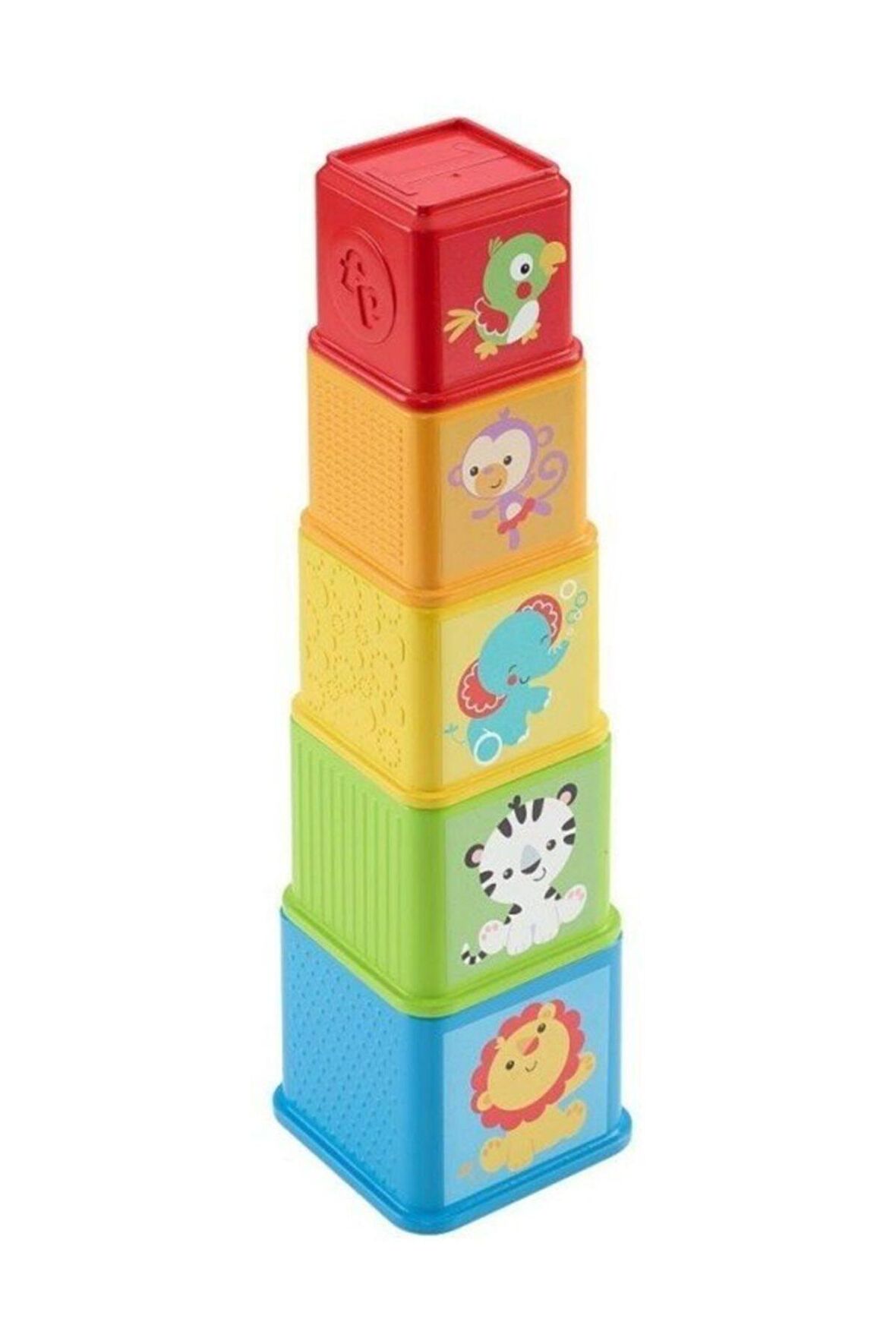  FISHER PRICE İncele ve Öğren Bloklar