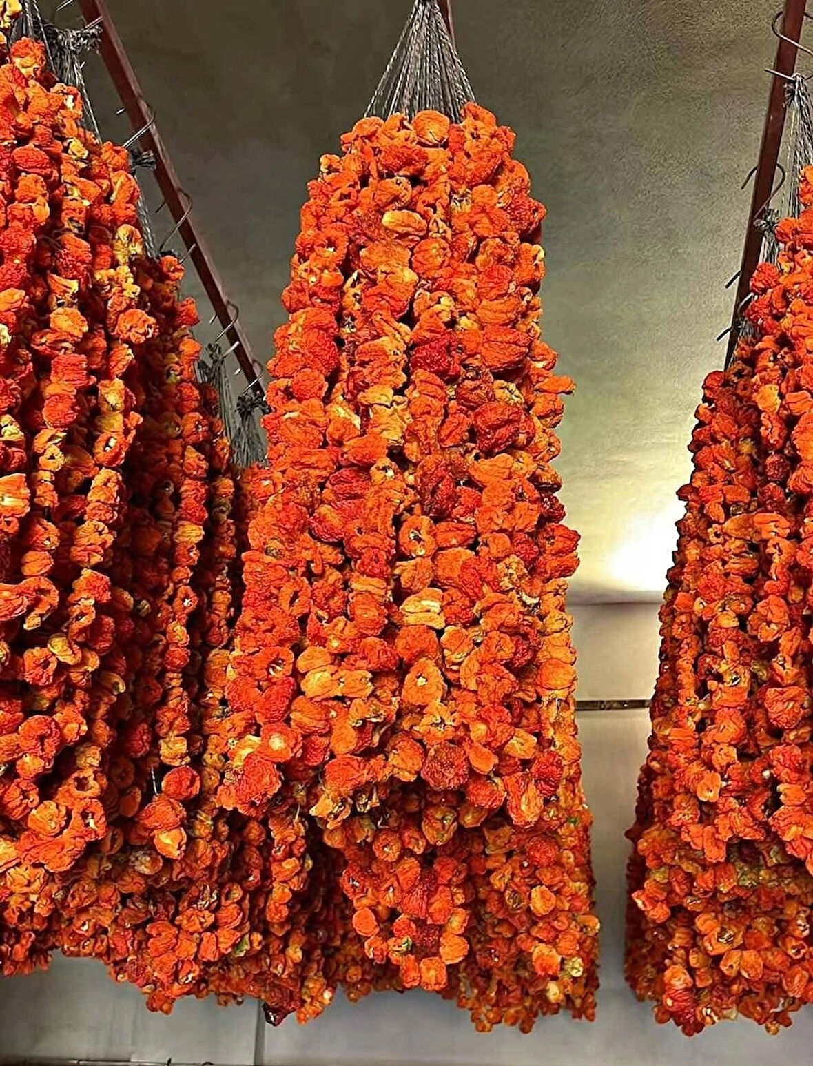 Maraş yöresel dolmalık biber 40 adet