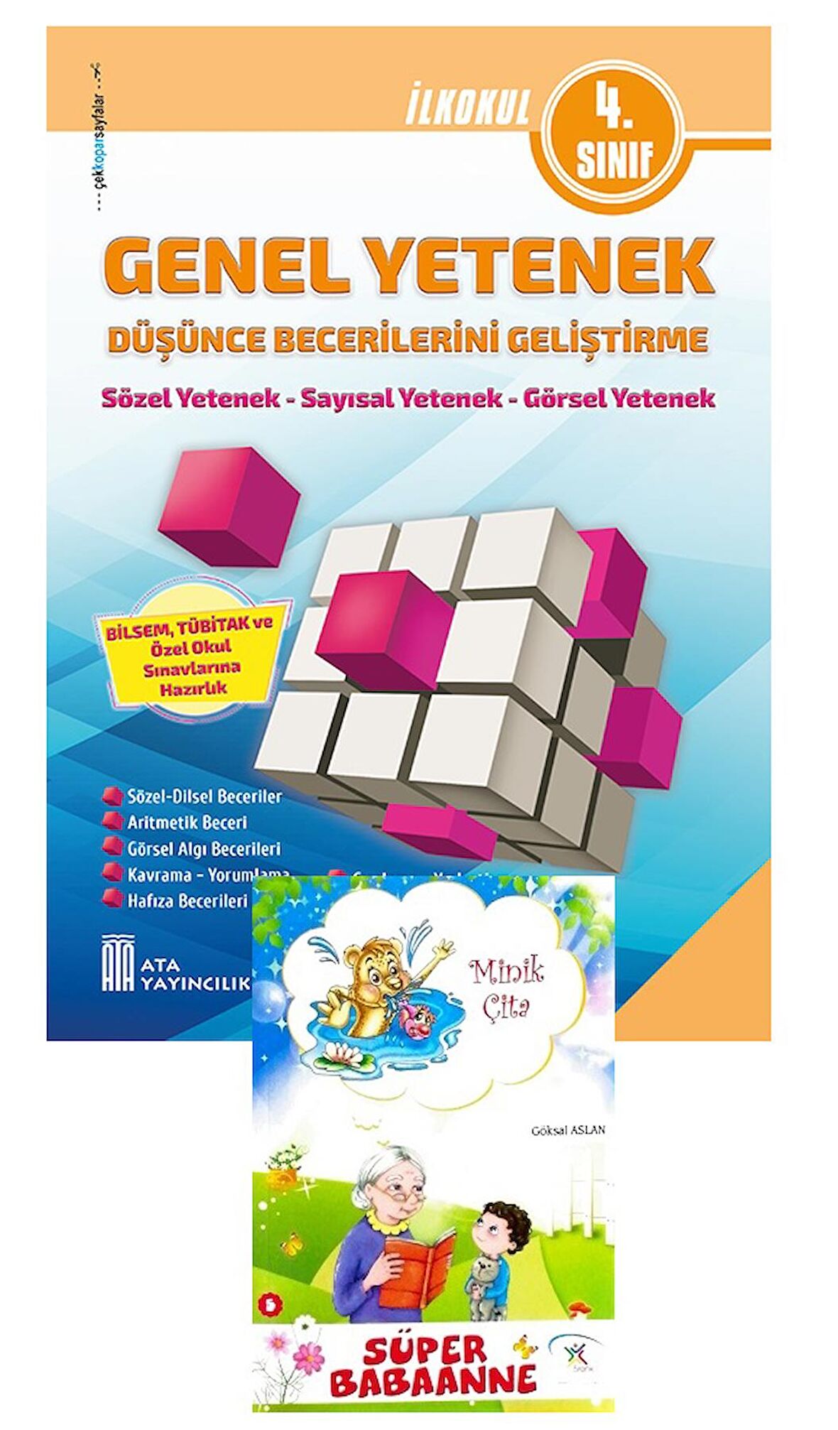 Ata 4.Sınıf Genel Yetenek Düşünce Becerilerini Geliştirme