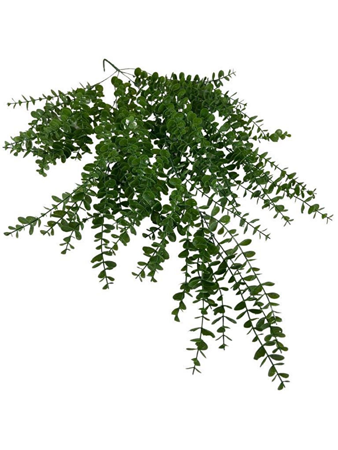 Yapay Çiçek Sarkan Şimşir Okaliptus Jumbo Boy 75*35cm Yapay Sarmaşık