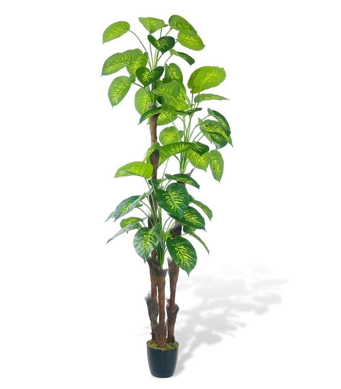 Yapay Çiçek Difenbahya Sarı Yeşil 3Katlı 190cm 54Yaprak Siyah Plastik Saksıda Yapay Bitki