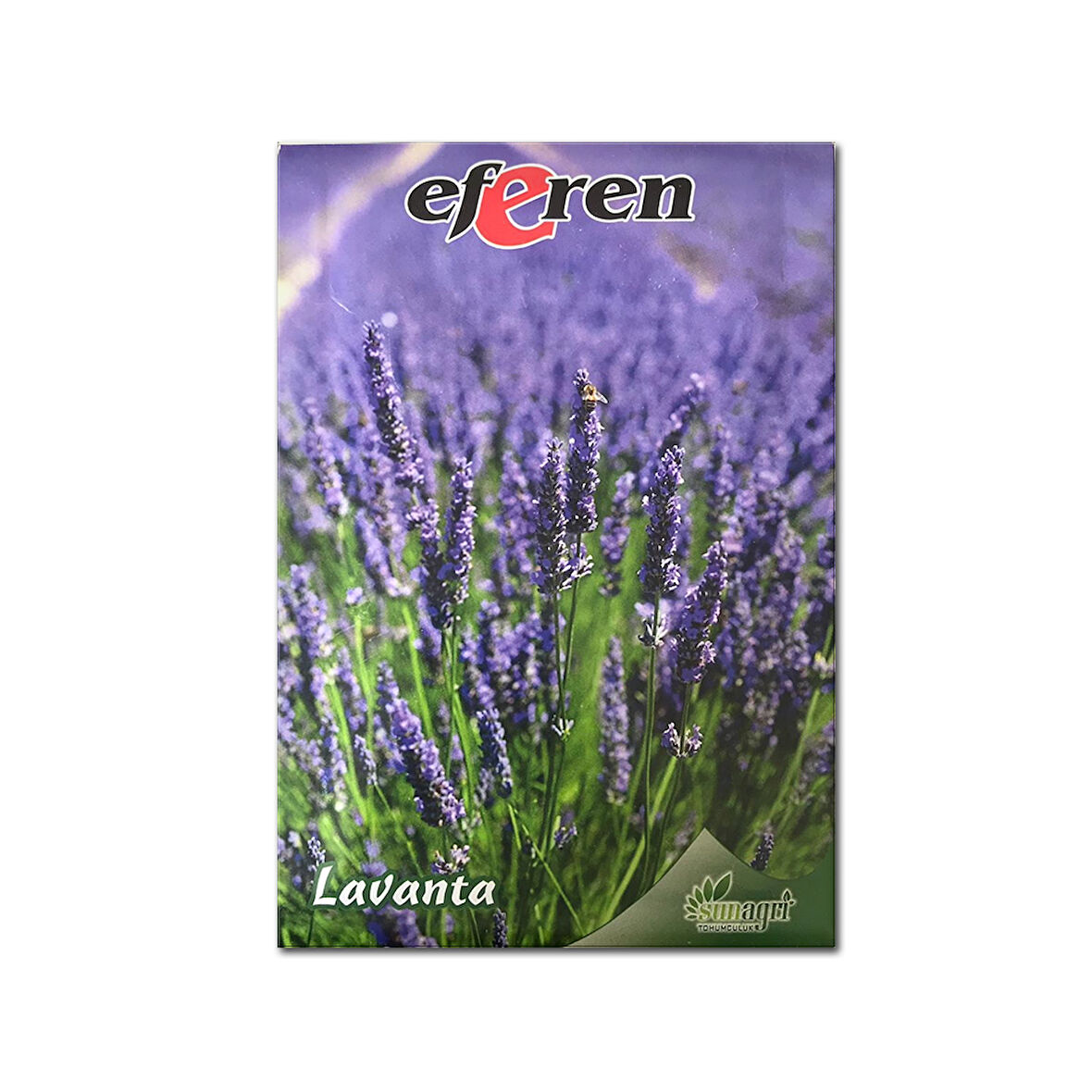 Lavanta Tohumu - Çok Yıllık Aromatik Parfüm ve Kozmetik Endüstrisi İçin İdeal