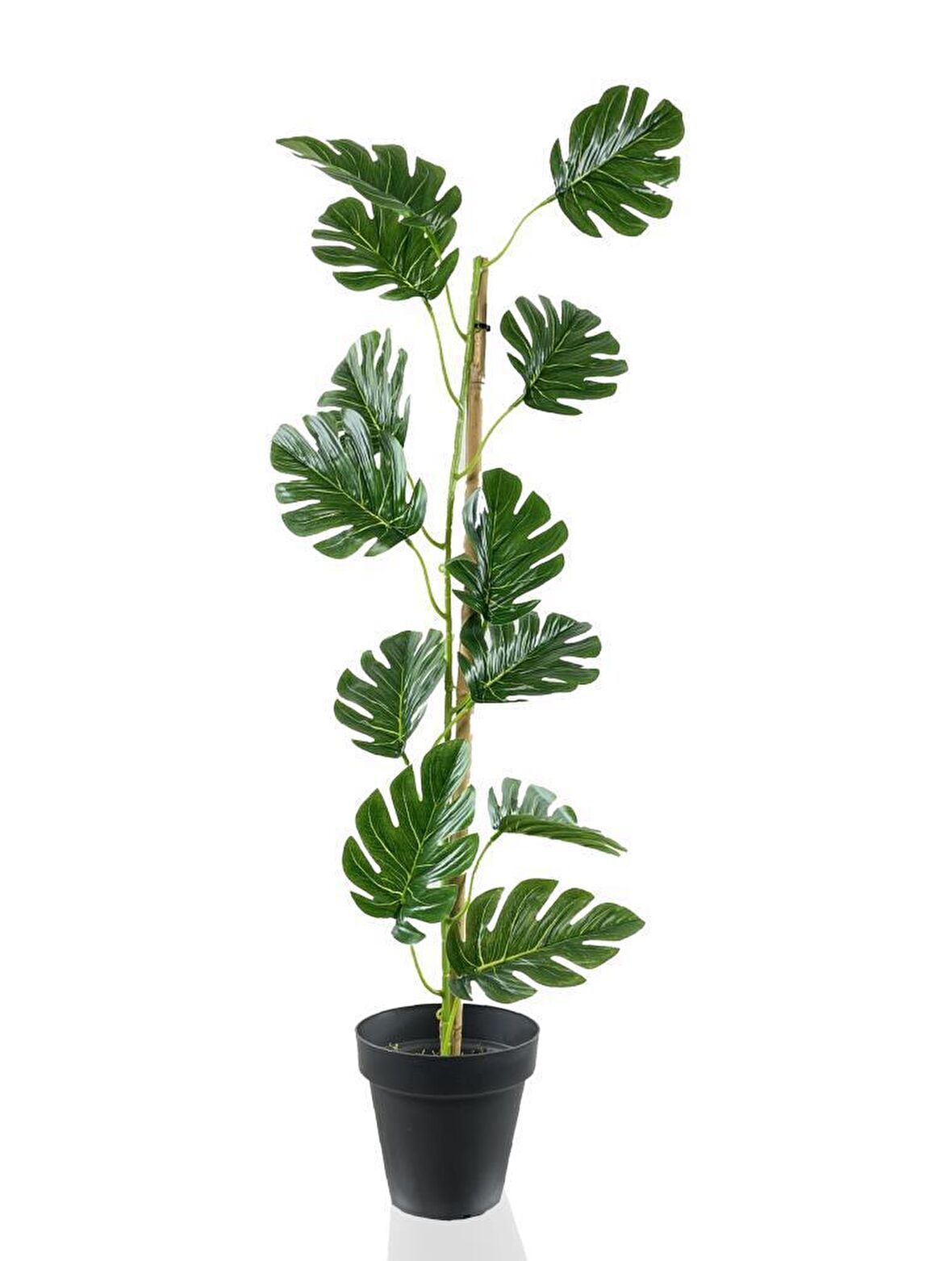 Yapay Çiçek Sarmaşık  Monstera Salon Bitkisi Siyah Saksılı 80cm 12 Yapraklı