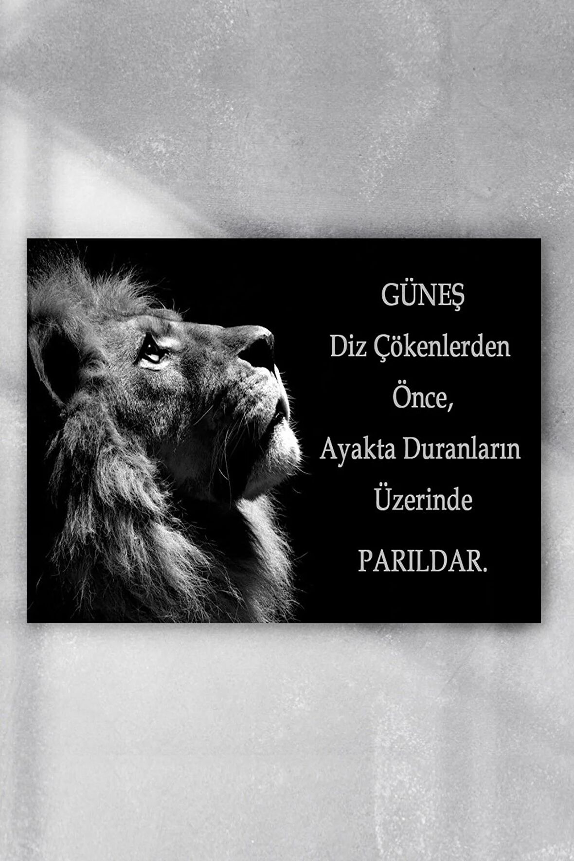 Aslan Girişimcilik Poster 4 