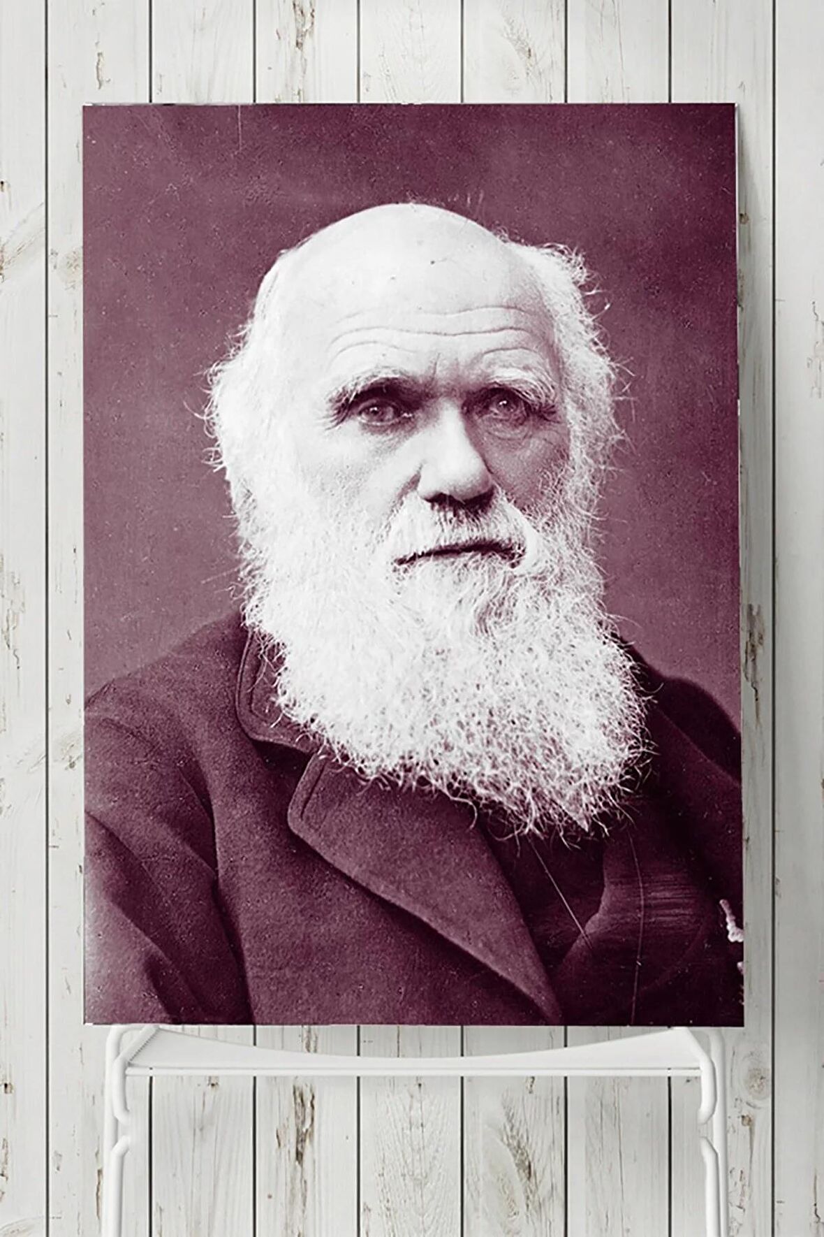 Charles Darwin Bilimsel Poster 2