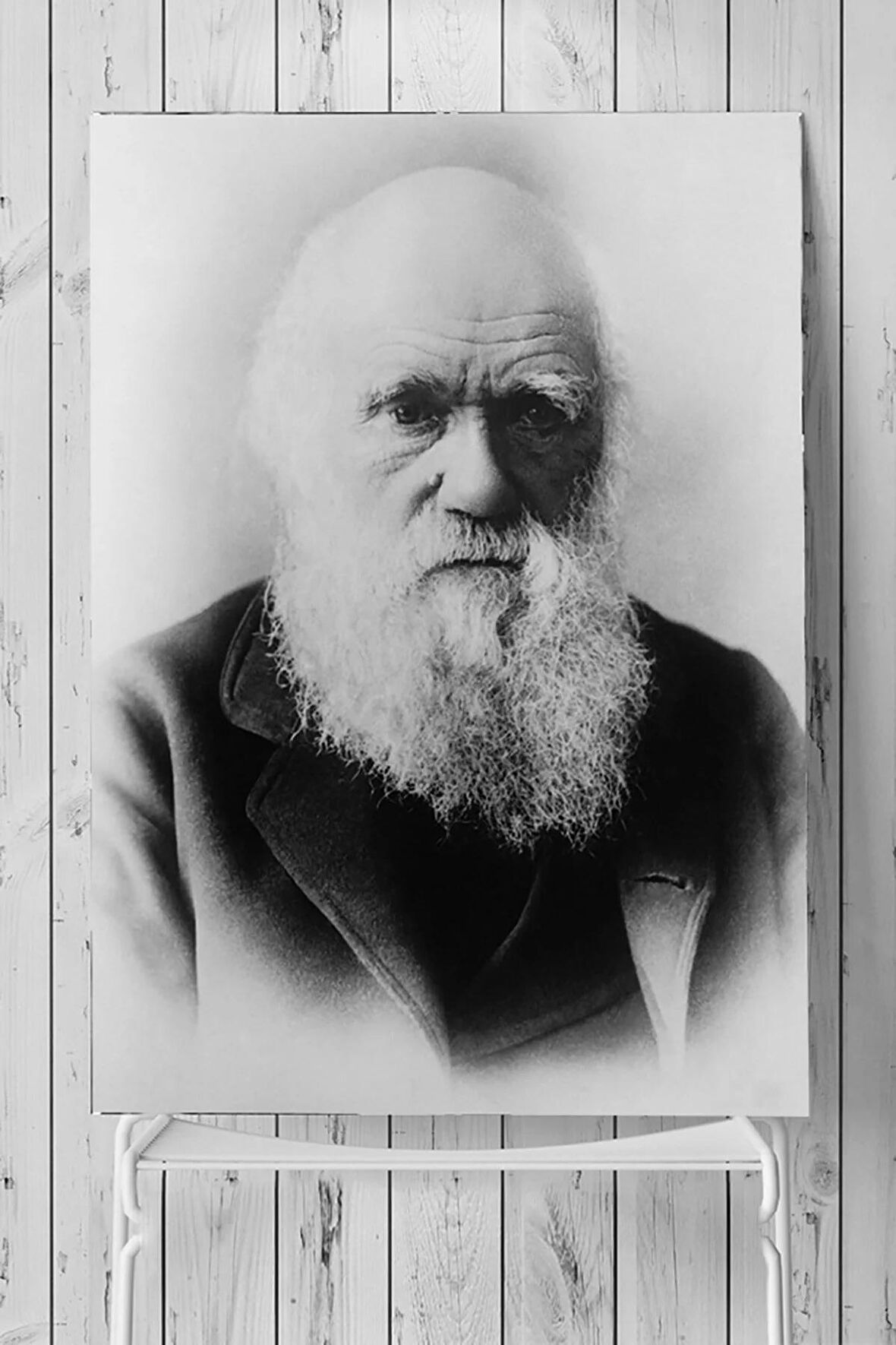 Charles Darwin Bilimsel Poster 3 