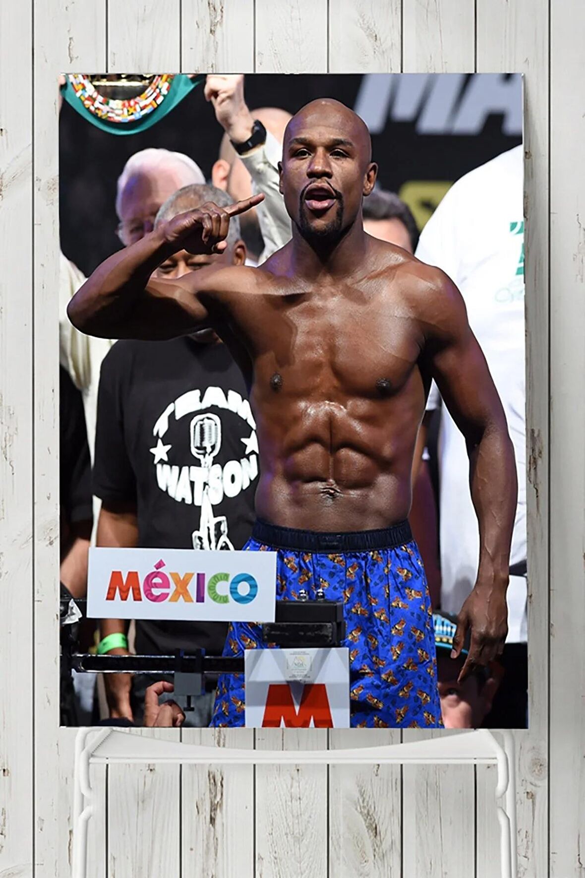 Floyd Mayweather Dövüş Posteri 2 