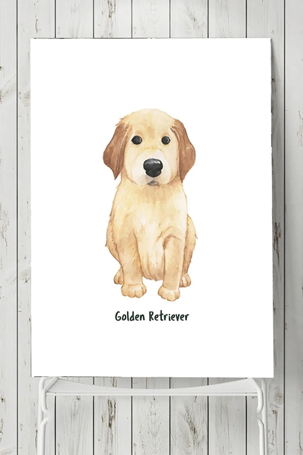 Golden Retriever Çocuk Odası Poster 