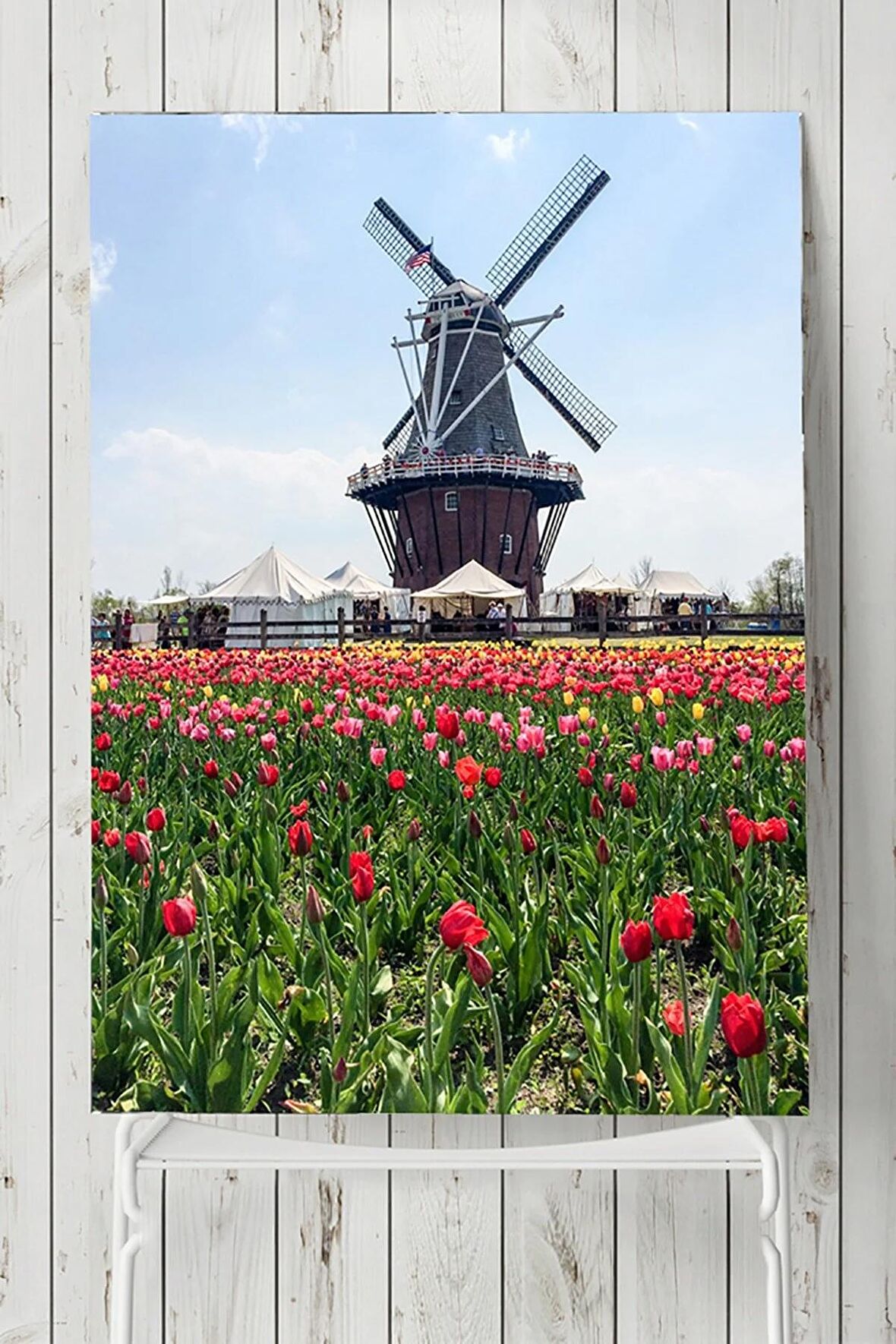 Hollanda Manzara Posteri 2