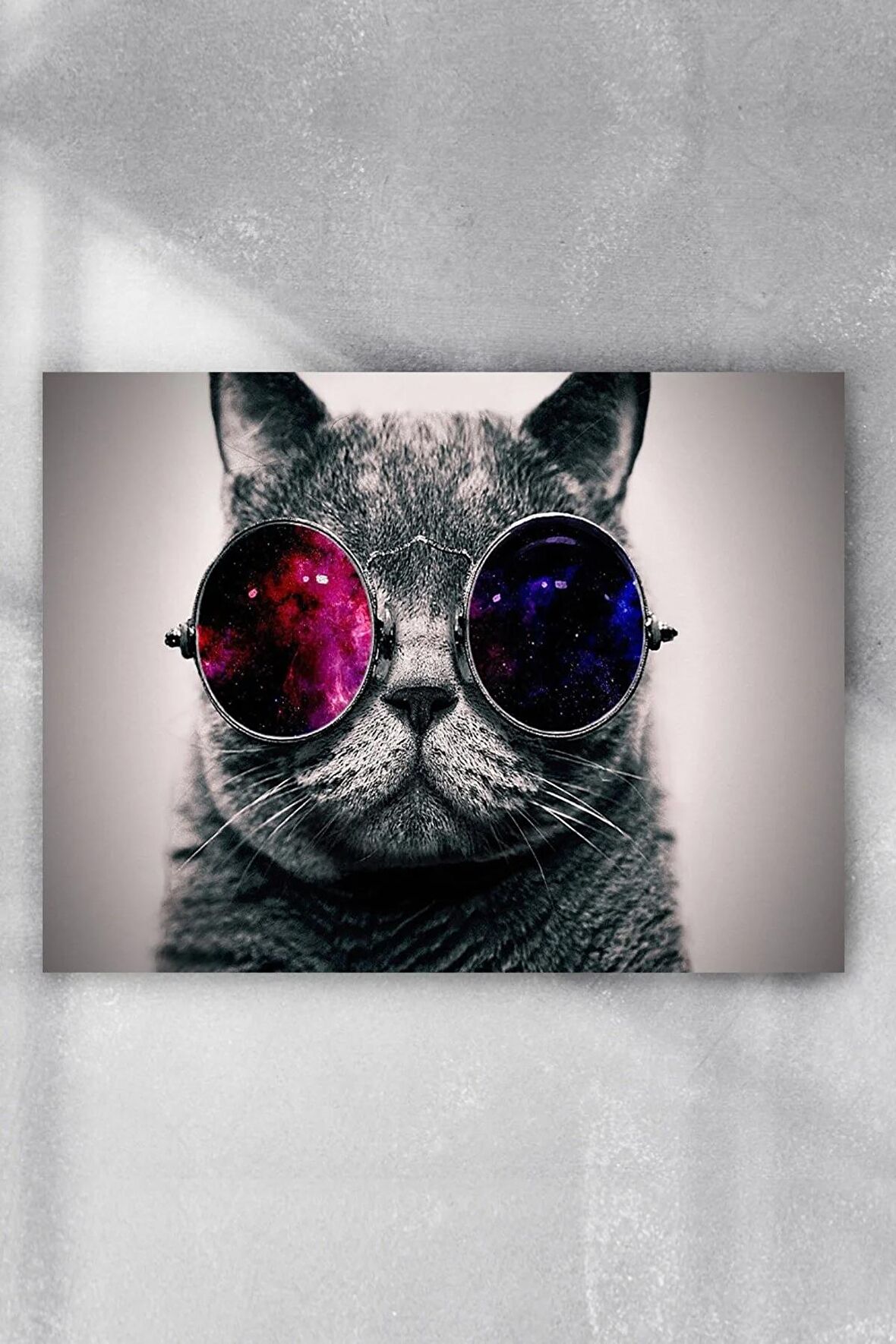 Kedi Eğlenceli Mizahi Poster 