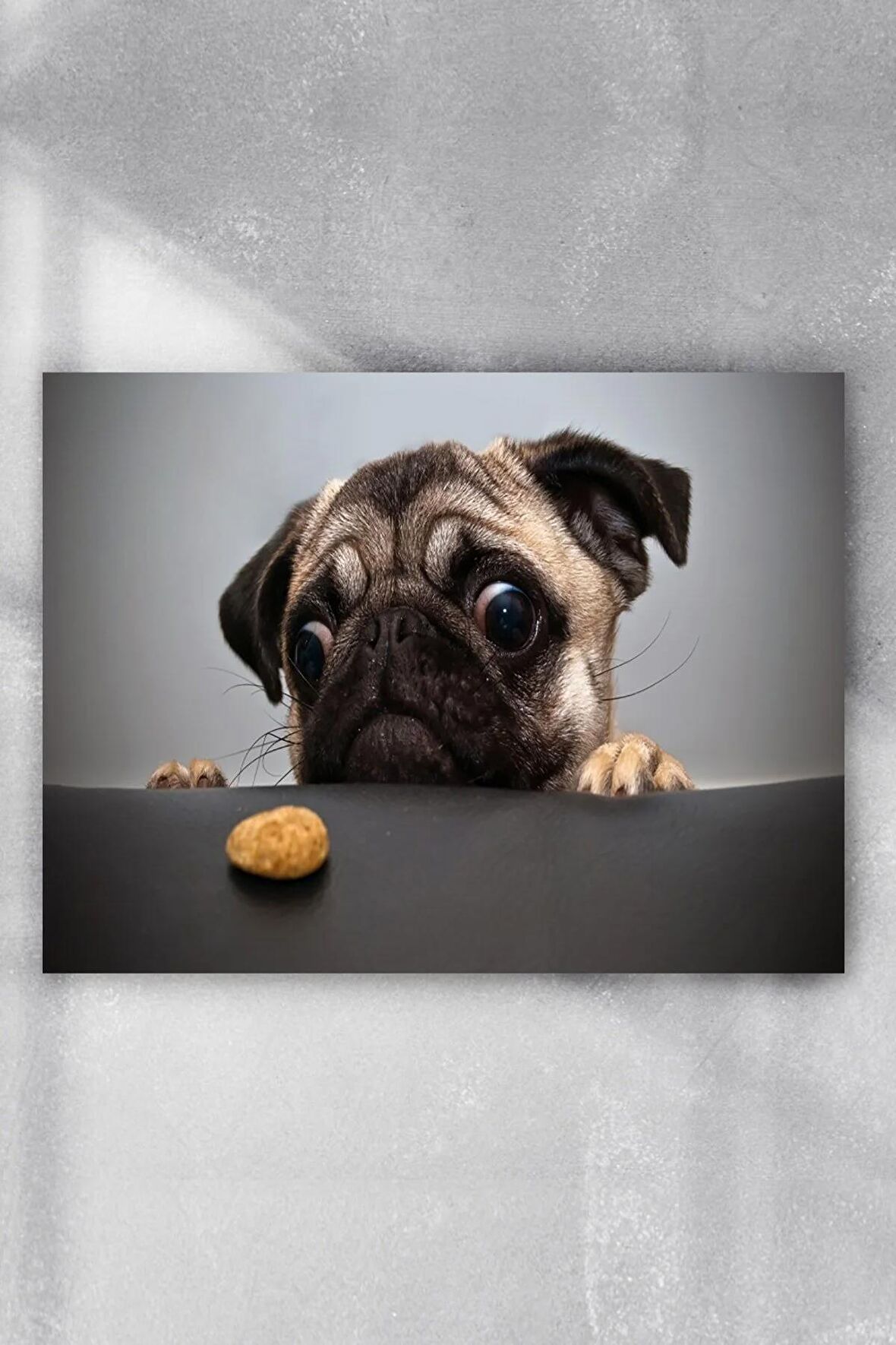 Köpekcik Eğlenceli Mizahi Poster 