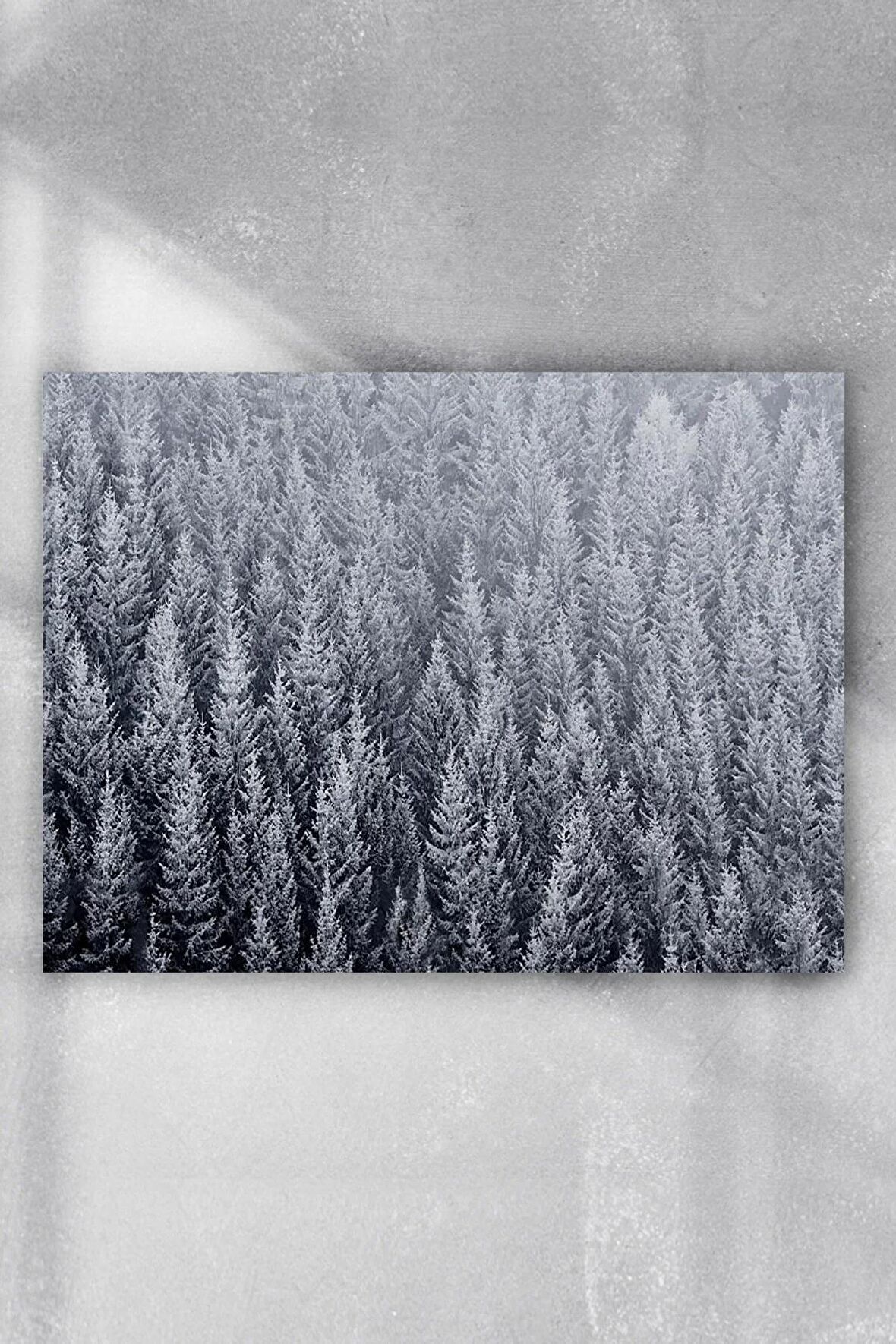 Kış Kar Manzara Poster 5