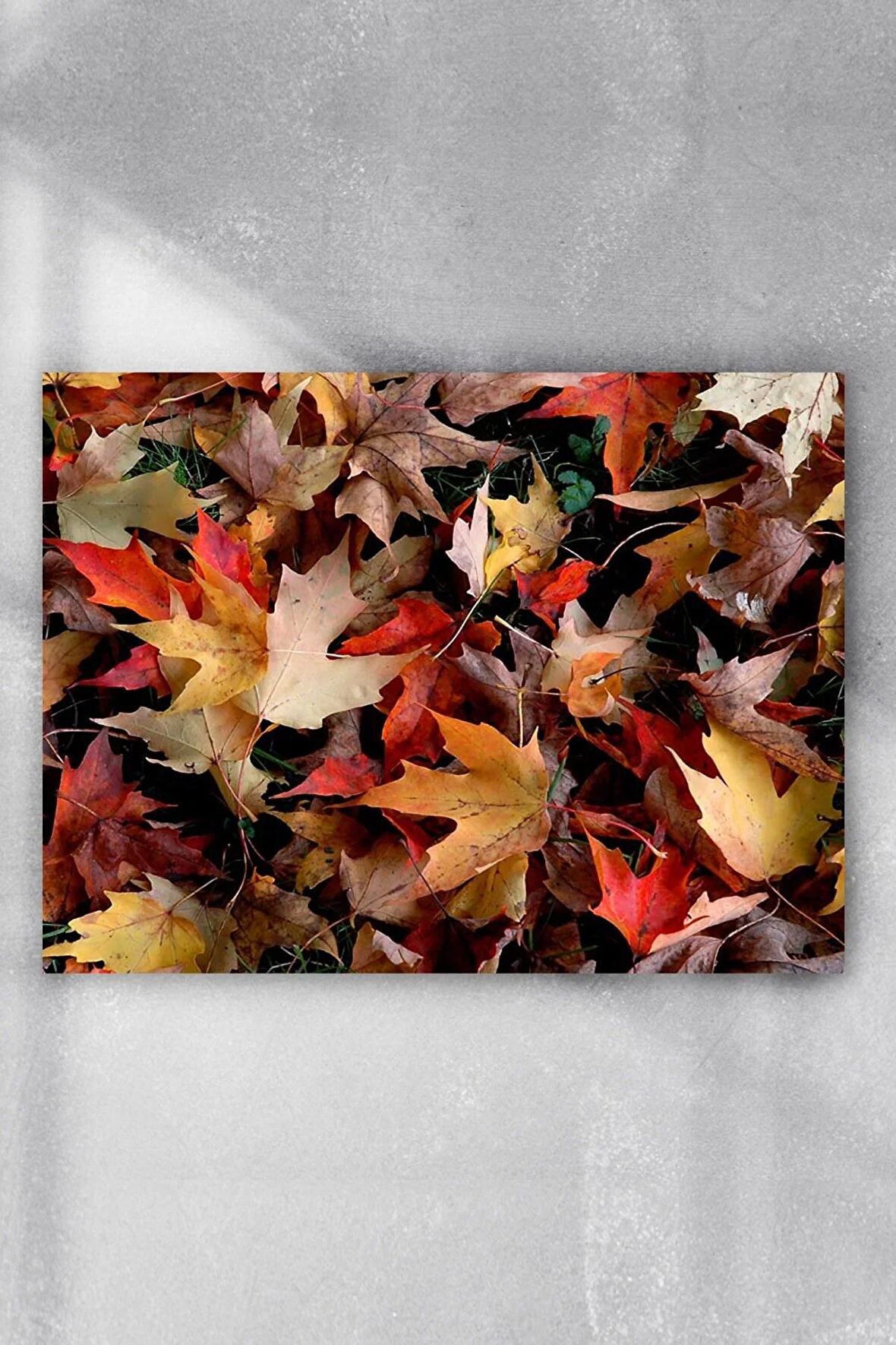 Sonbahar Manzara Poster 3 