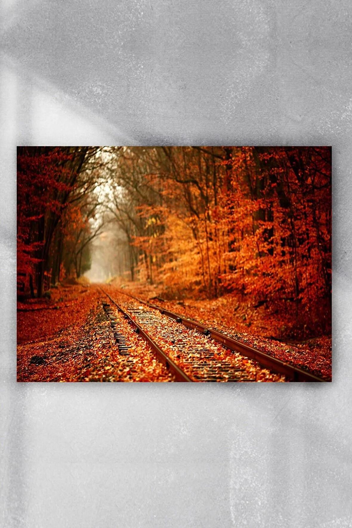 Sonbahar Manzara Poster 4 