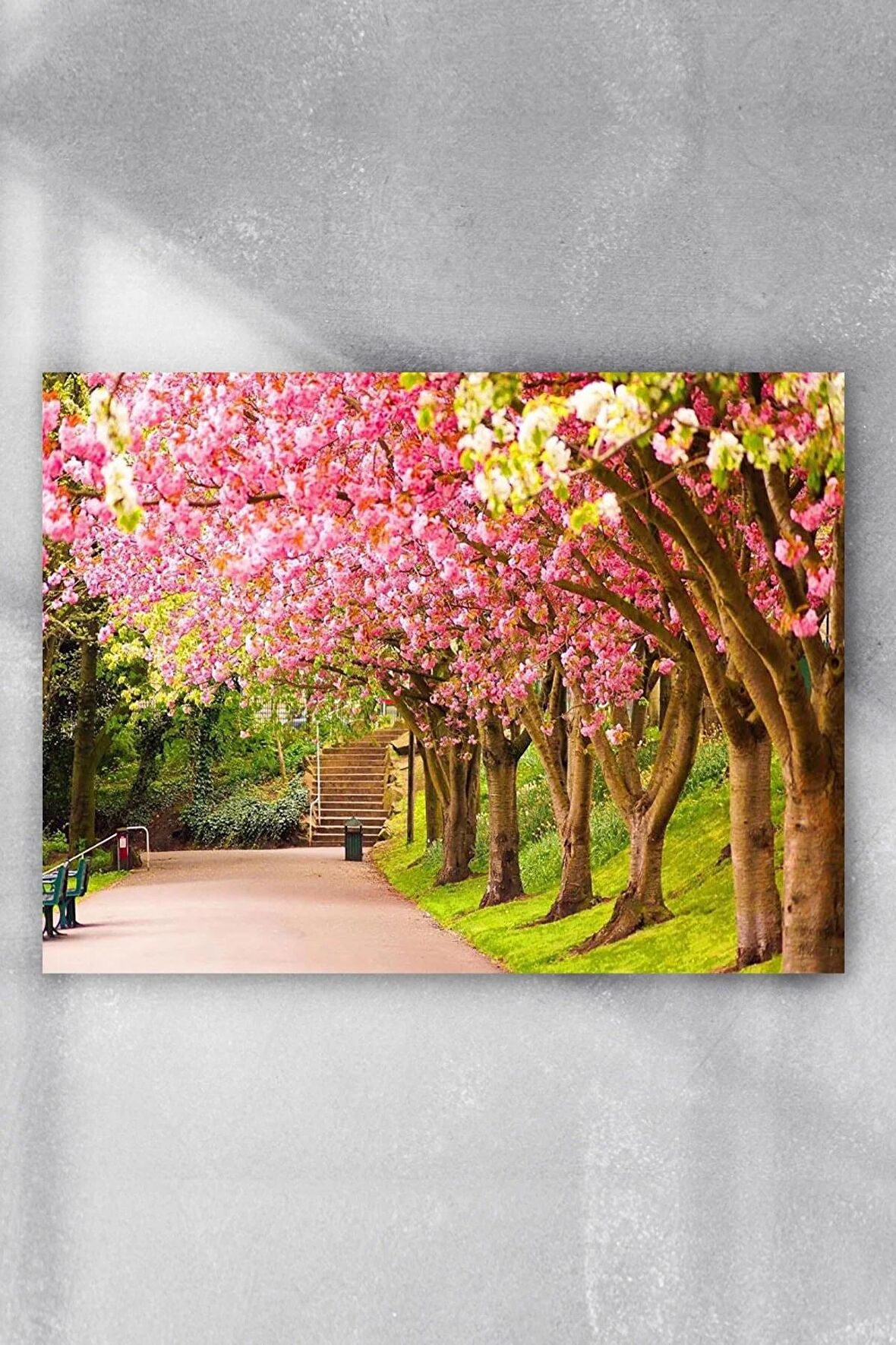 Ilkbahar Manzara Poster 3 