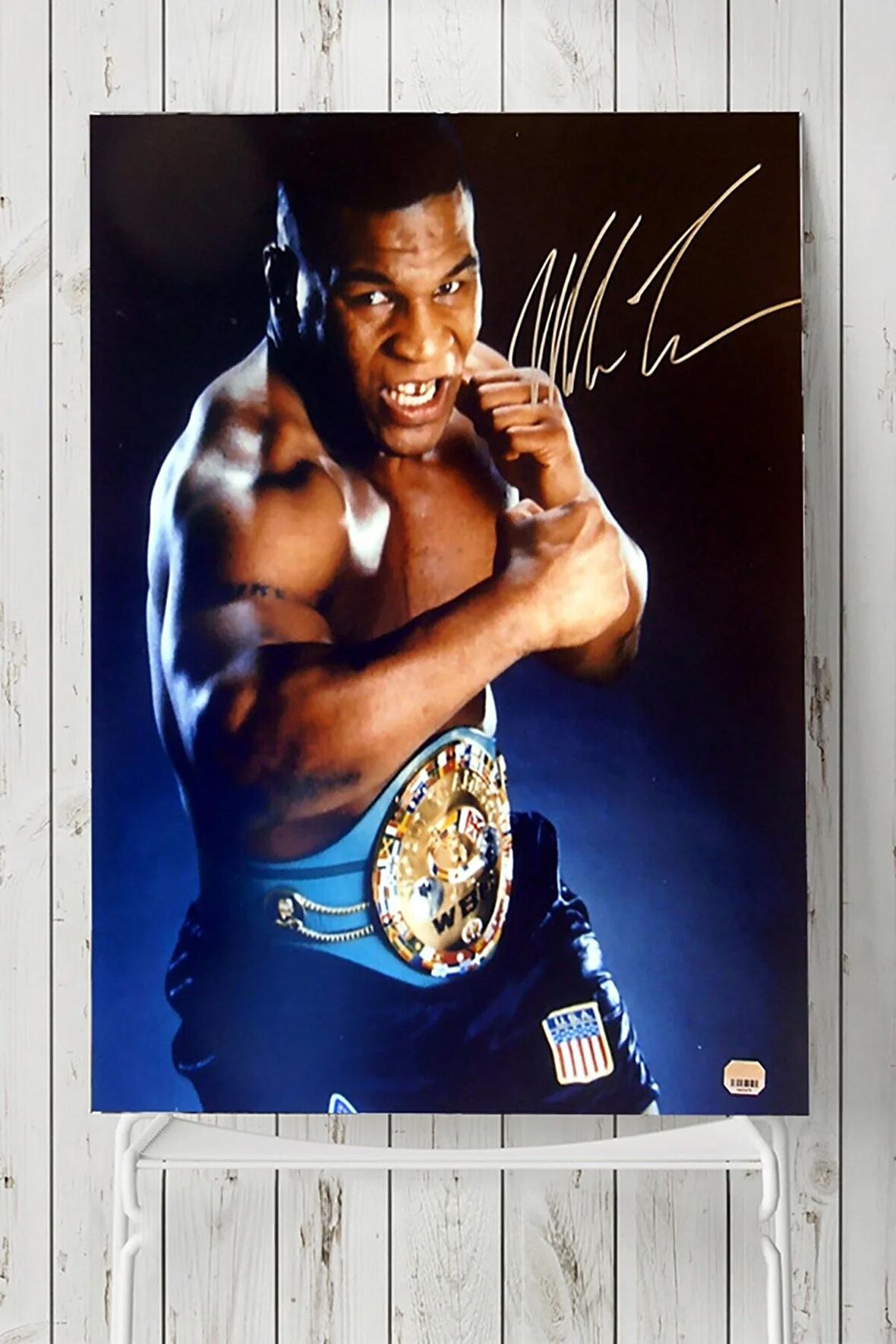 Mike Tyson Dövüş Posteri 