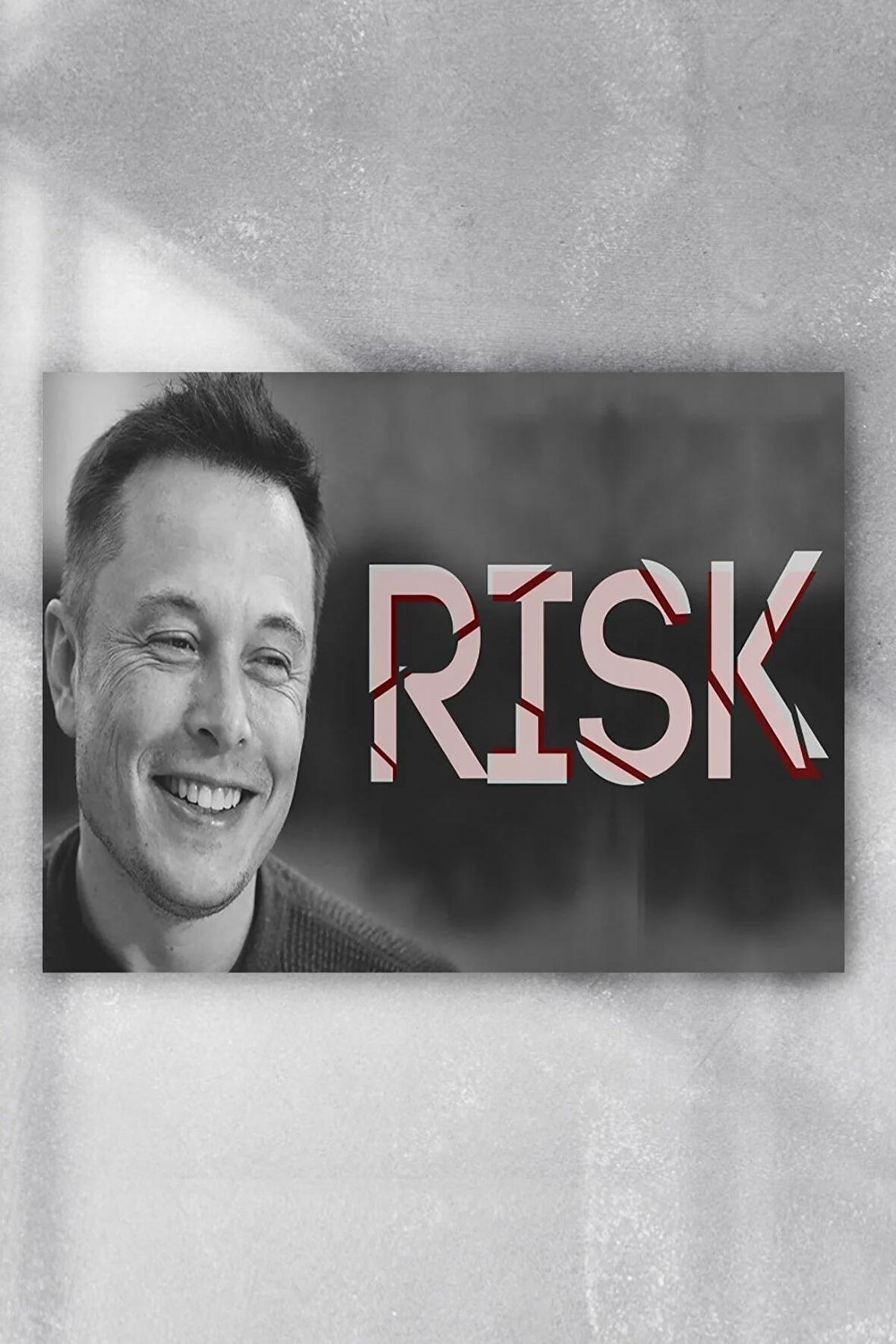 Elon Musk Girişimcilik Poster 4