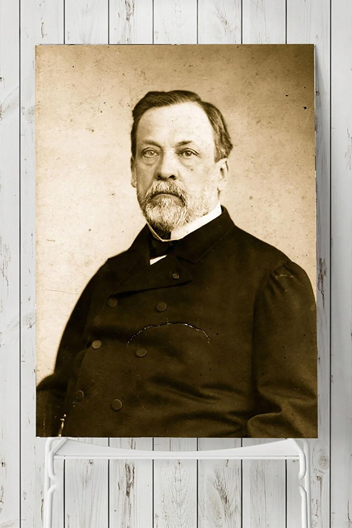 Louis Pasteur Bilimsel Poster 2 