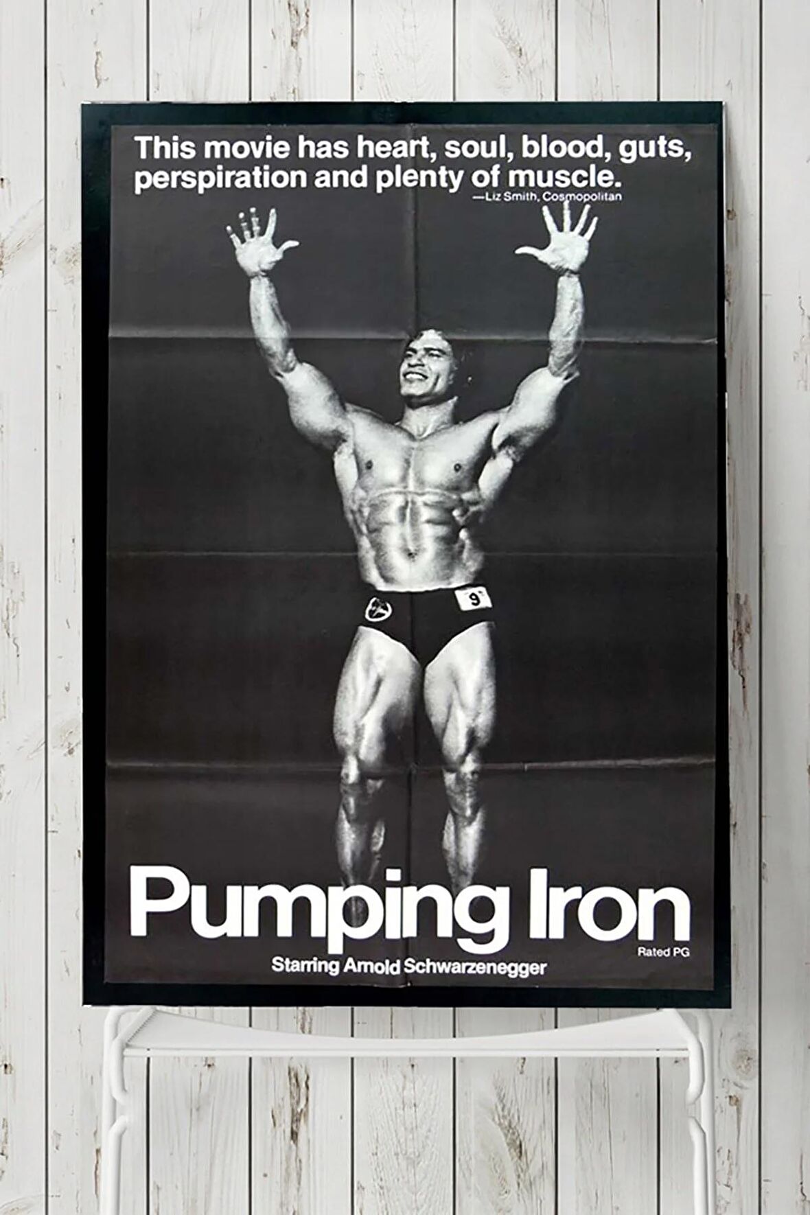 Pumping Vücut Geliştirme Body Building Fitness Posteri 