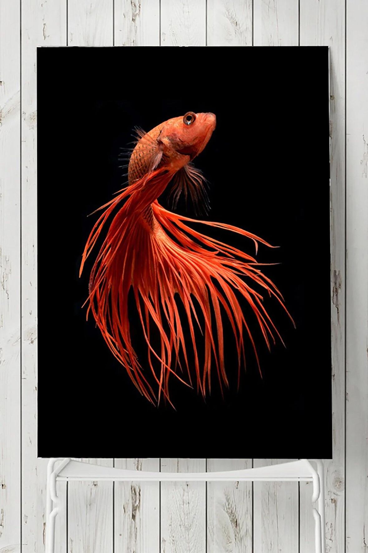 Sanatsal Balık Hayvan Posteri 3 