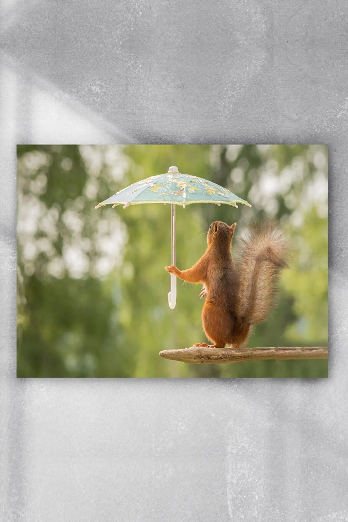 Sincap Eğlenceli Mizahi Poster 