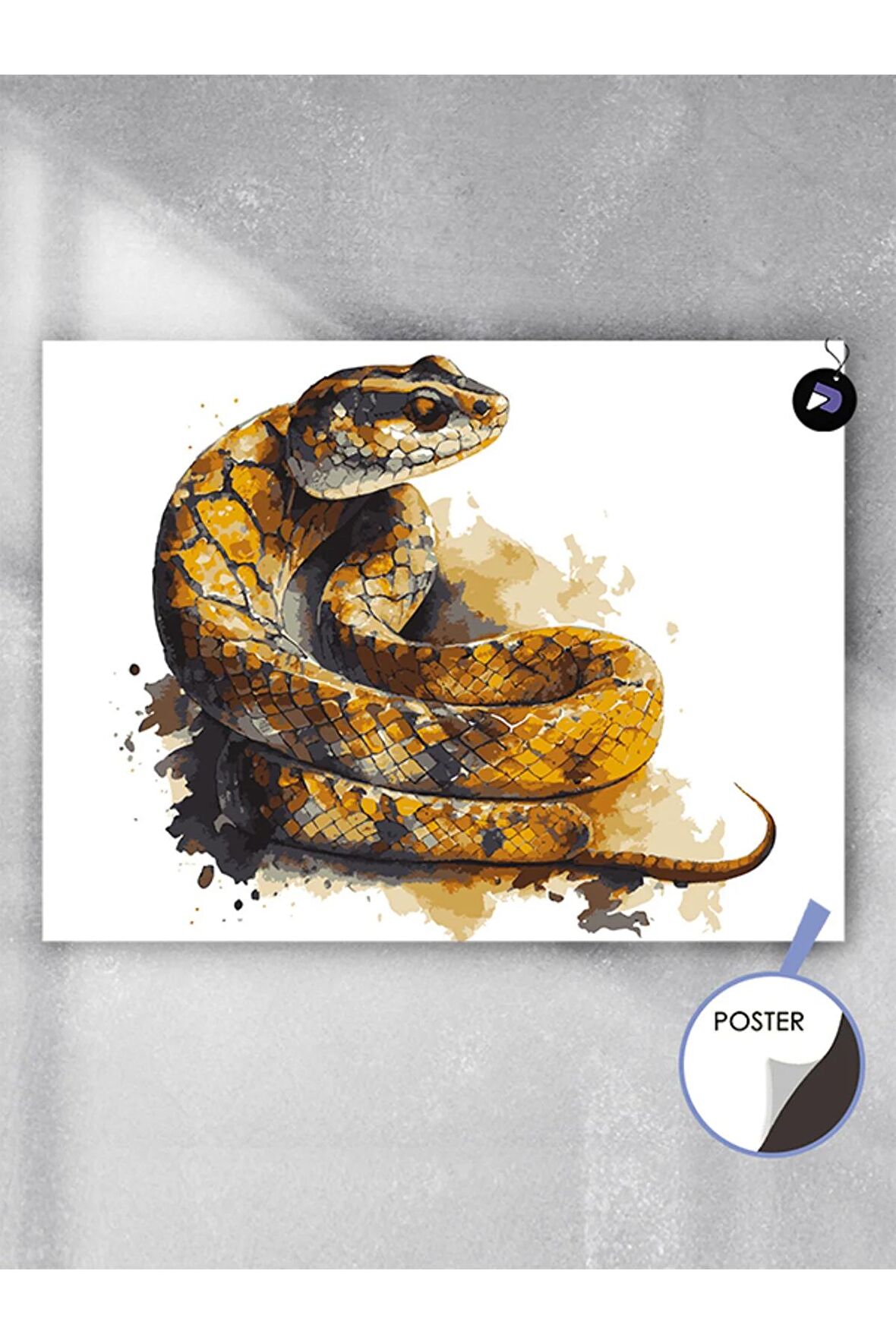 Kıvrılmış Yılan Hayvan Poster - Afiş - Dekoratif Duvar Posteri
