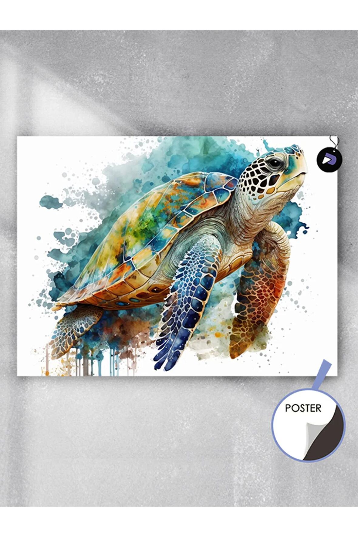 Caretta Kaplumbağa Süzülüşü Hayvan Poster - Afiş - Dekoratif Duvar Posteri