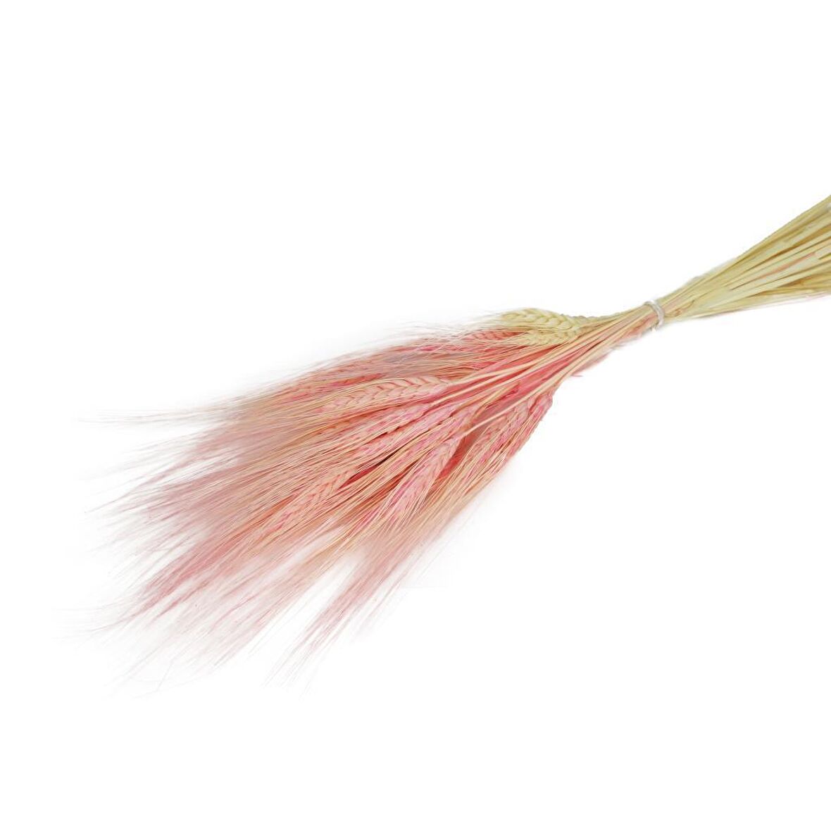 Kuru Çiçek Doğal Pembe Başak 35gram 1. Kalite Şoklanmış Bozulmaz